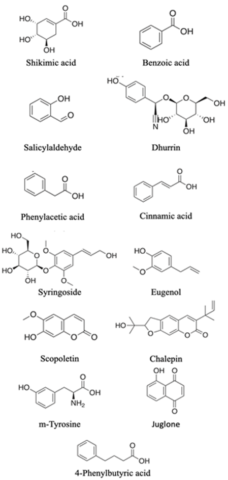 Agronomy 13 00280 i002 Agronomy 13 00280 i002