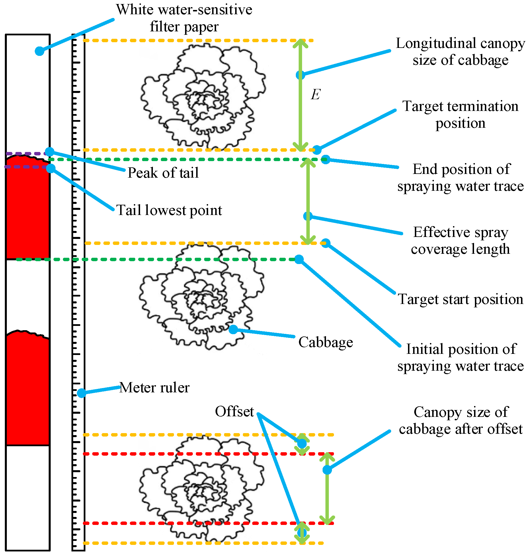 Agronomy 13 00286 g007 Agronomy 13 00286 g007