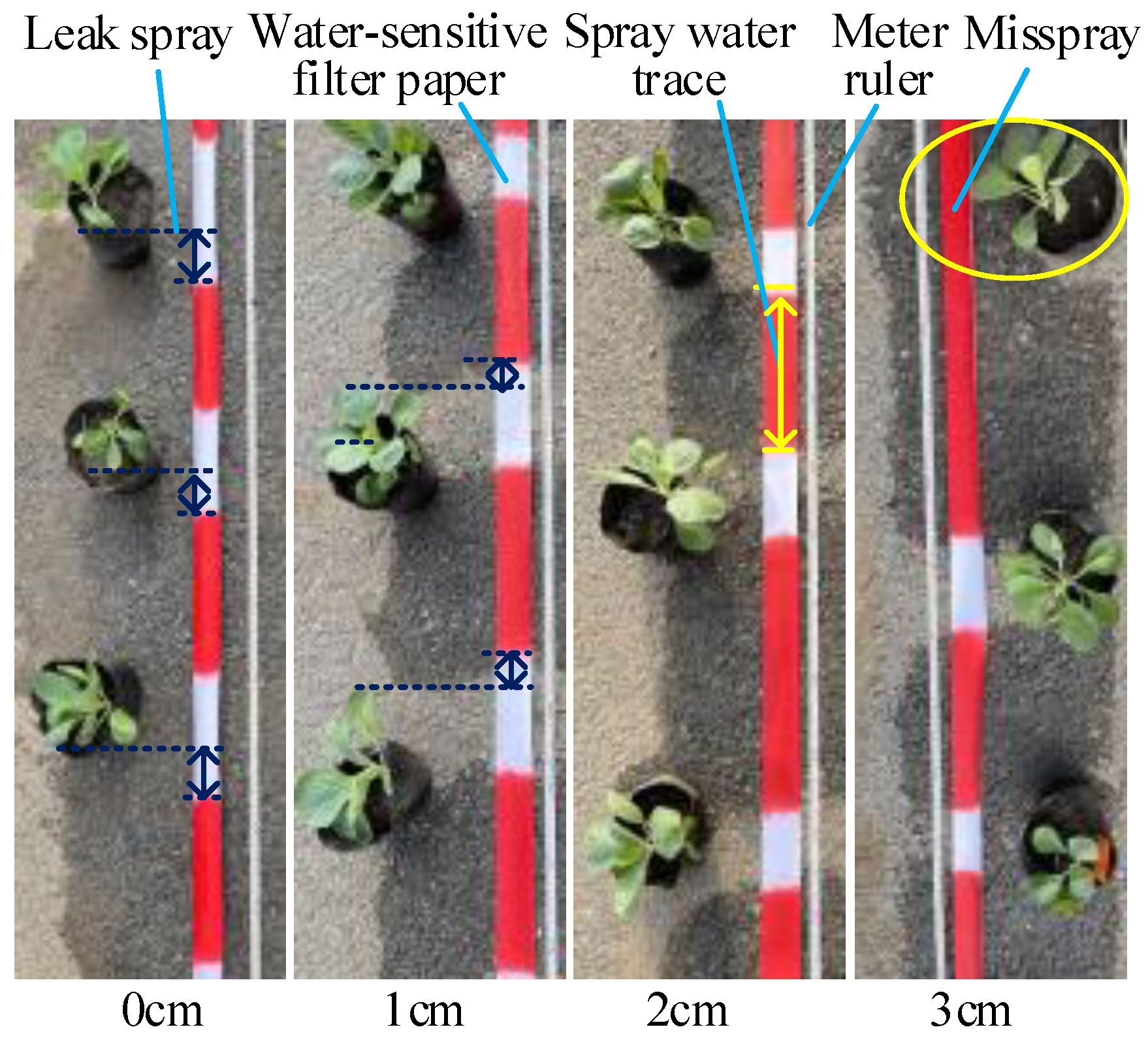 Agronomy 13 00286 g008 Agronomy 13 00286 g008