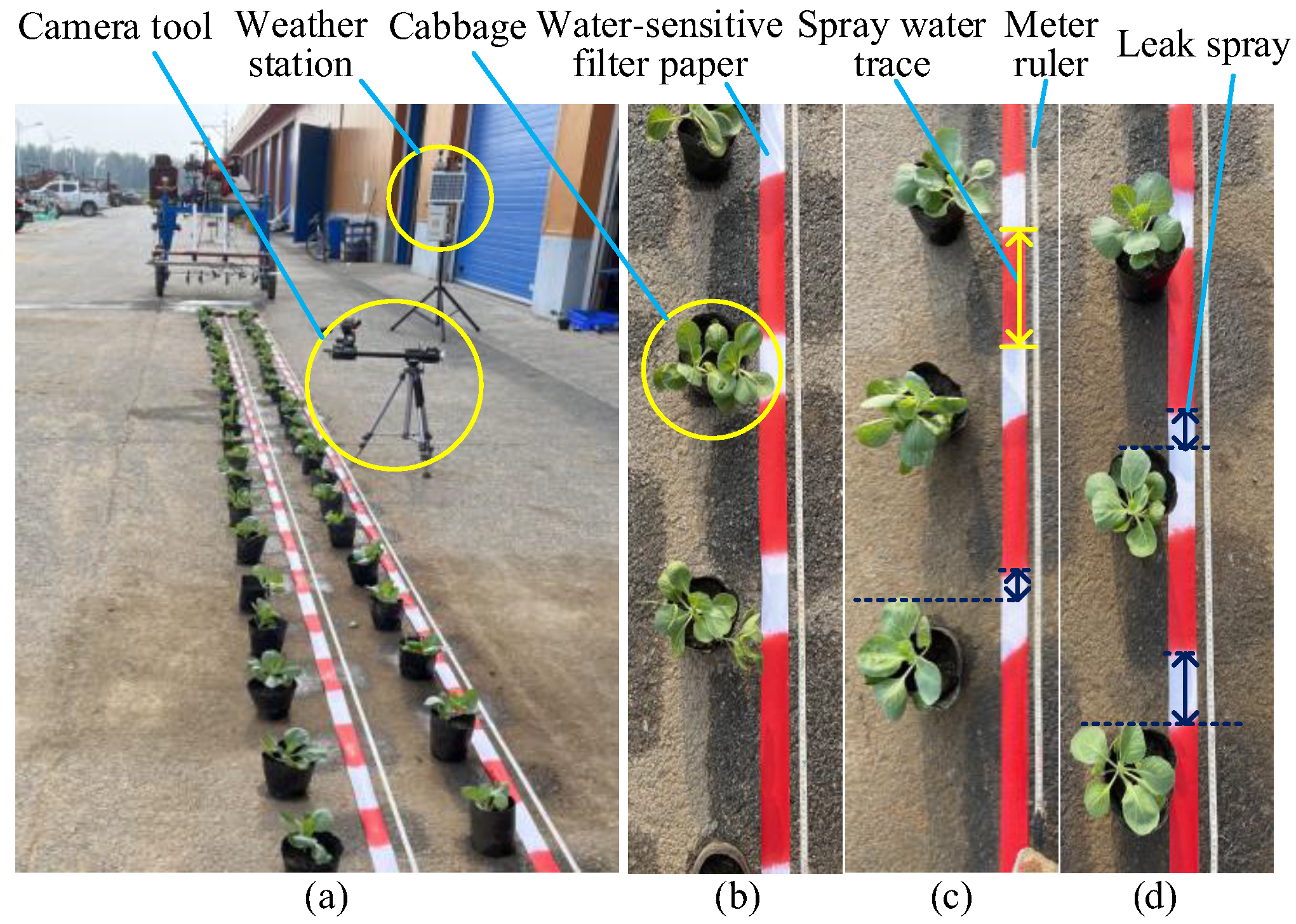 Agronomy 13 00286 g009 Agronomy 13 00286 g009