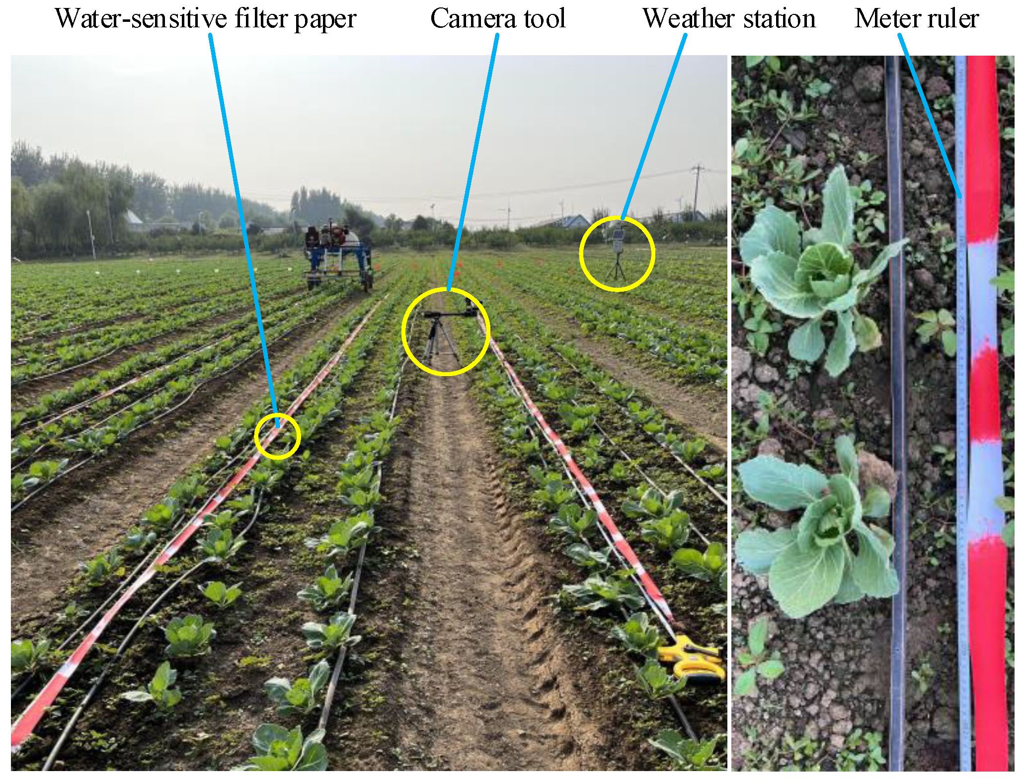 Agronomy 13 00286 g010 Agronomy 13 00286 g010