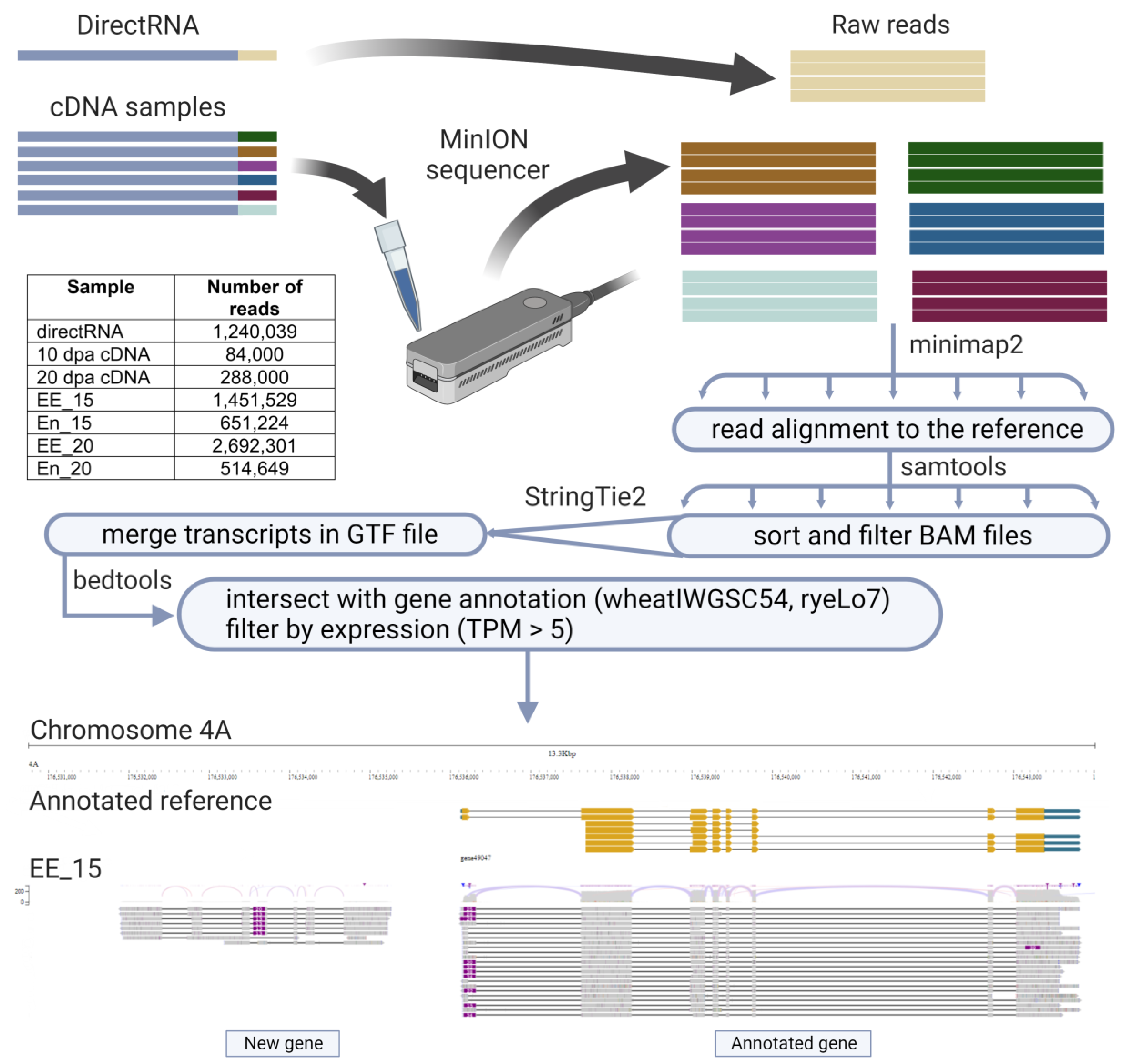 Agronomy 13 00292 g001