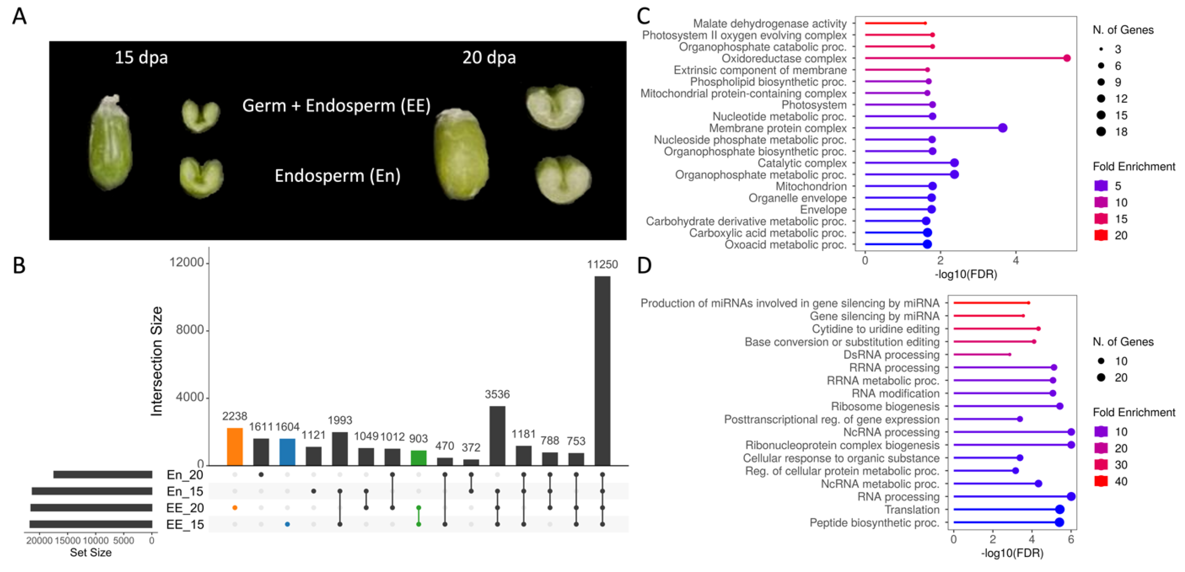 Agronomy 13 00292 g004