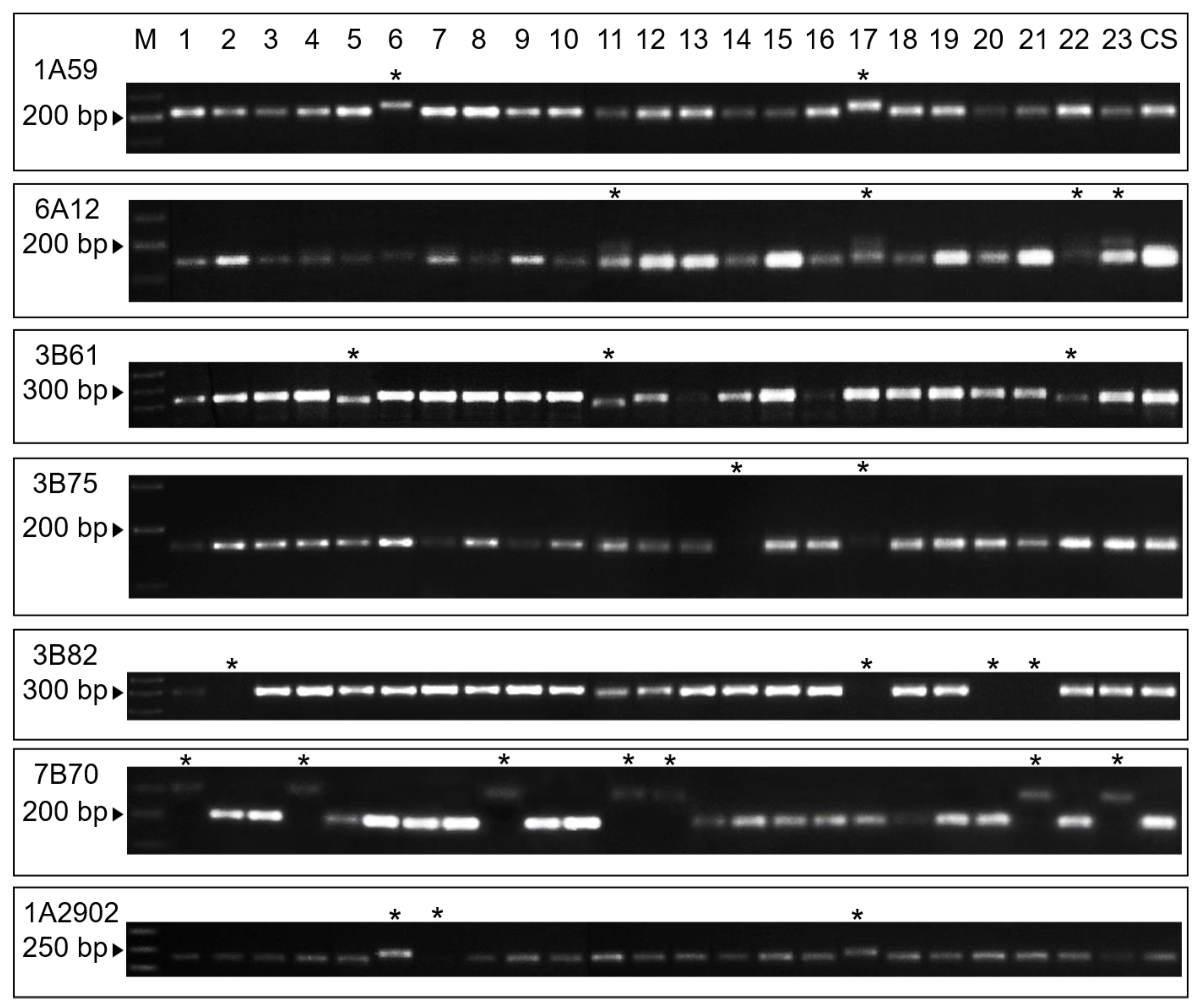 Agronomy 13 00292 g005