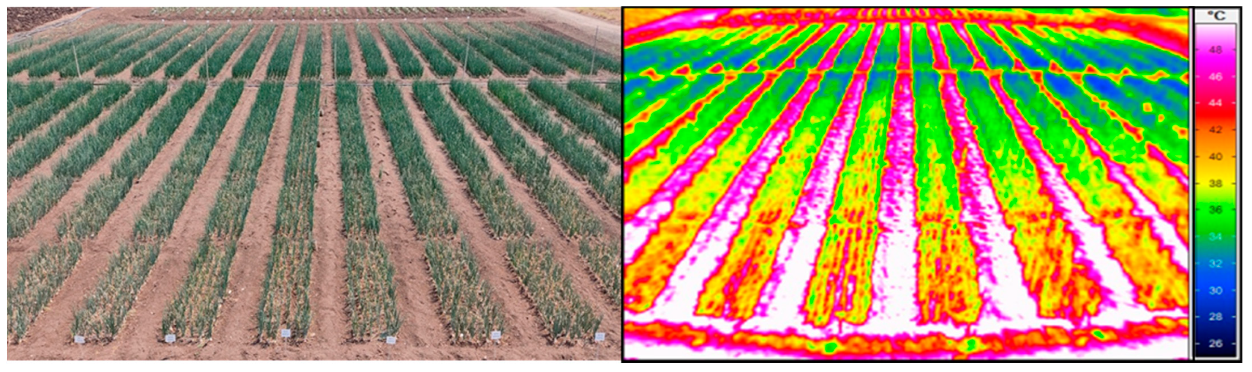 Agronomy 13 00297 g001 Agronomy 13 00297 g001