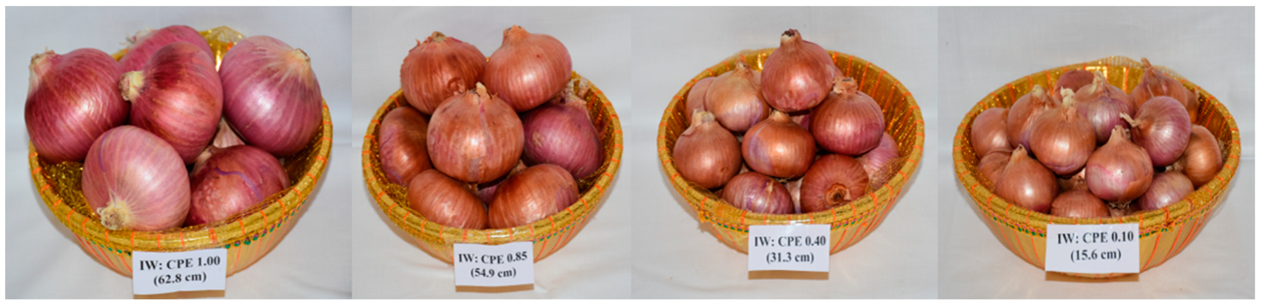 Agronomy 13 00297 g002 Agronomy 13 00297 g002