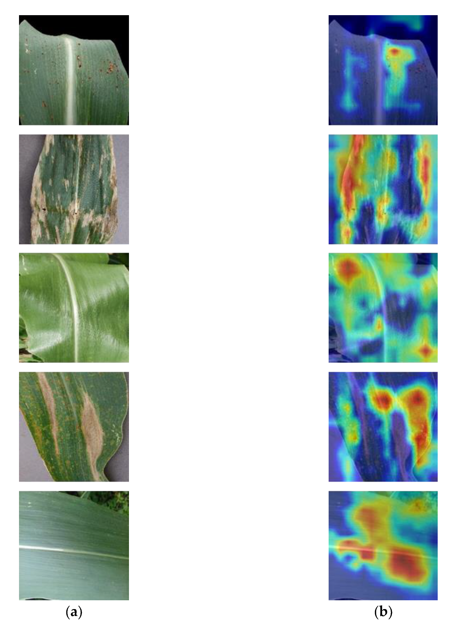 Agronomy 13 00300 g007