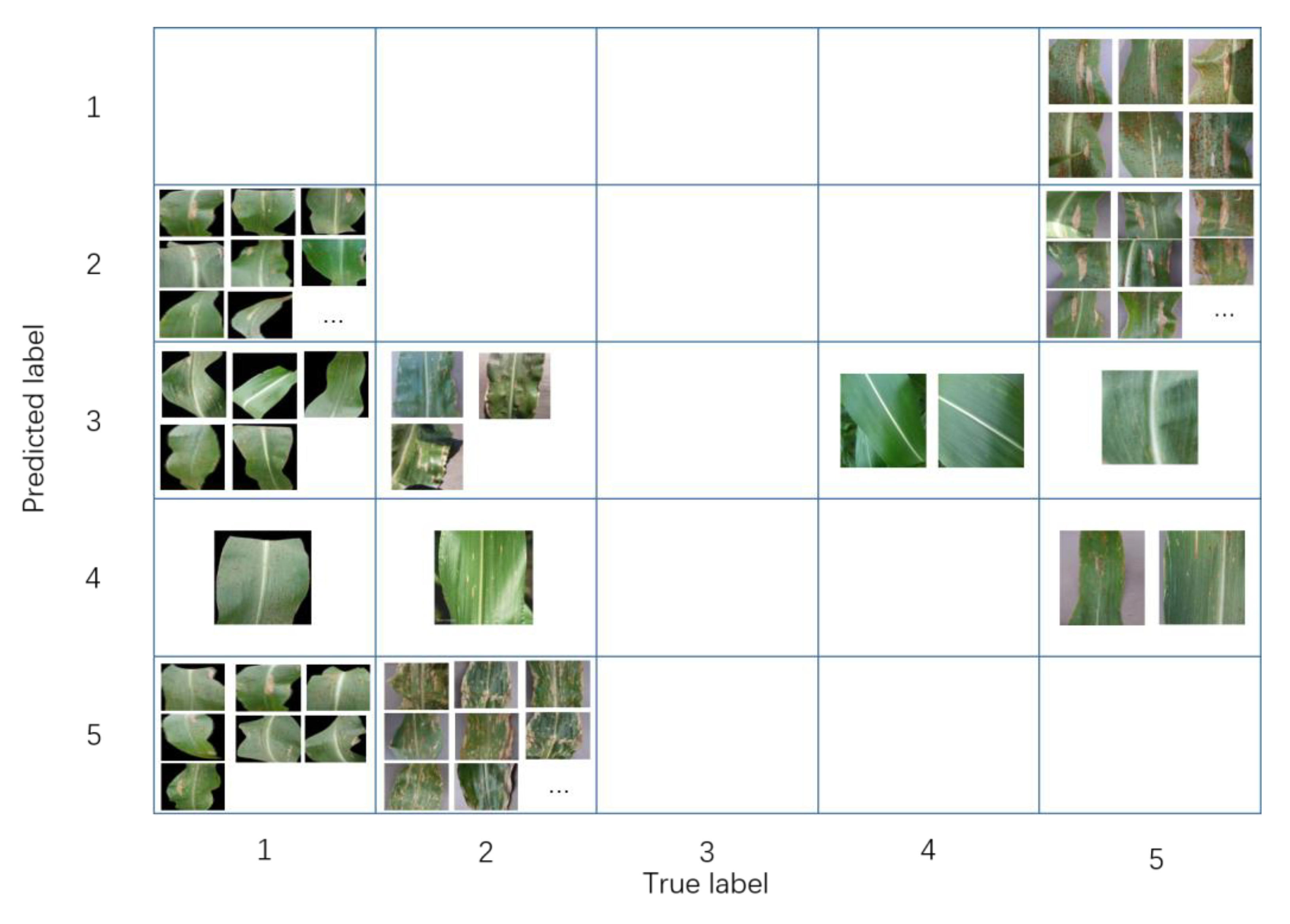 Agronomy 13 00300 g009