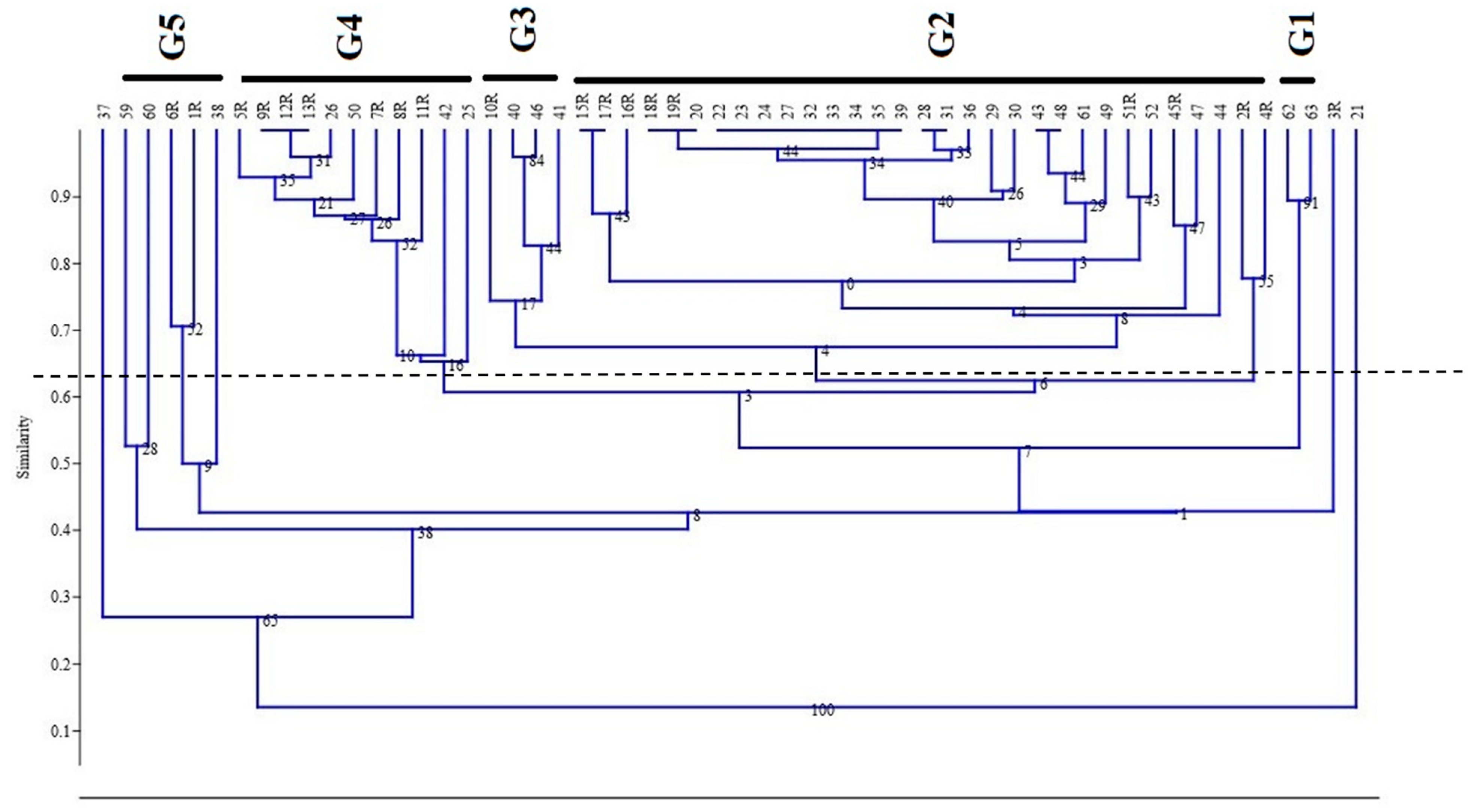 Agronomy 13 00302 g003 Agronomy 13 00302 g003