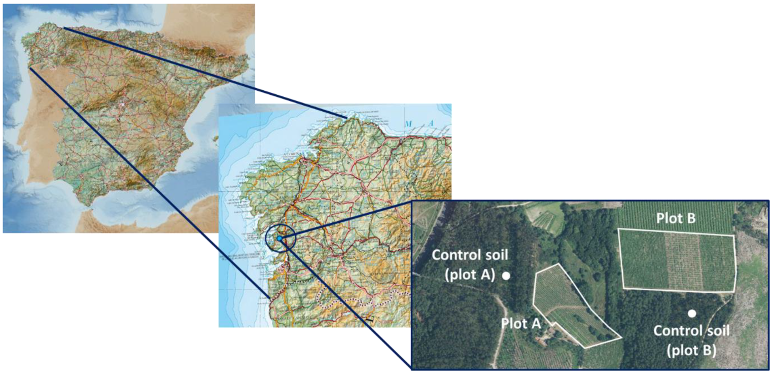 Agronomy 13 00309 g001 Agronomy 13 00309 g001