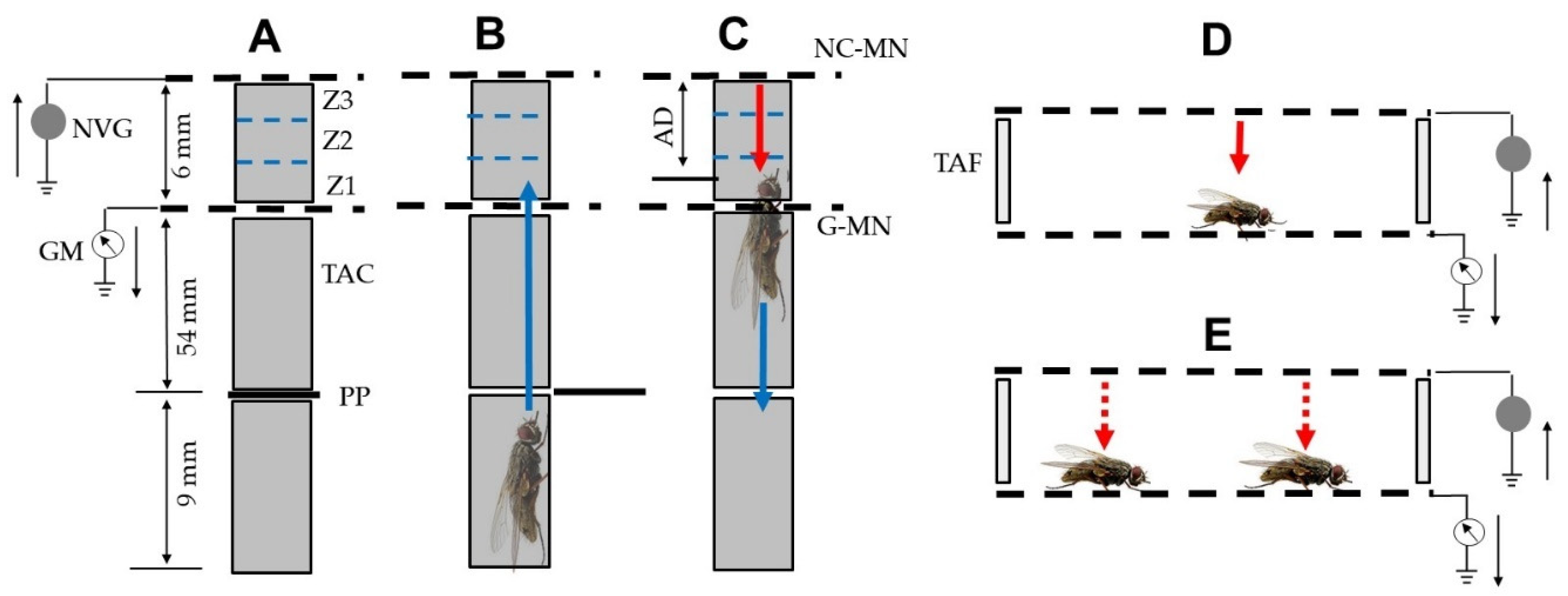 Agronomy 13 00310 g002 Agronomy 13 00310 g002