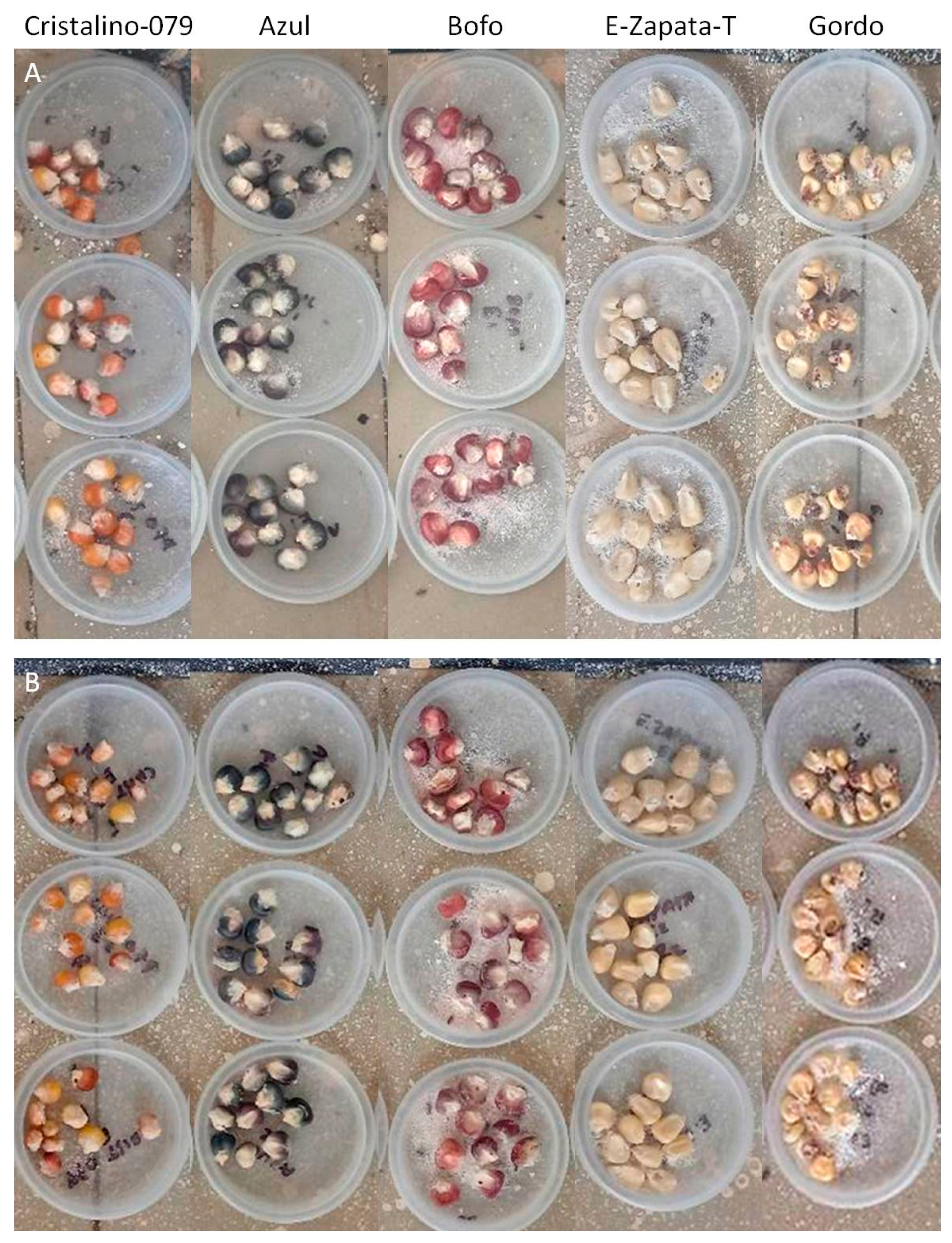 Agronomy 13 00312 g001