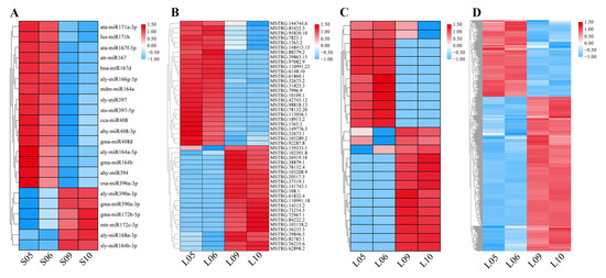 Identification of the Genome-Wide Expression Patterns of Non