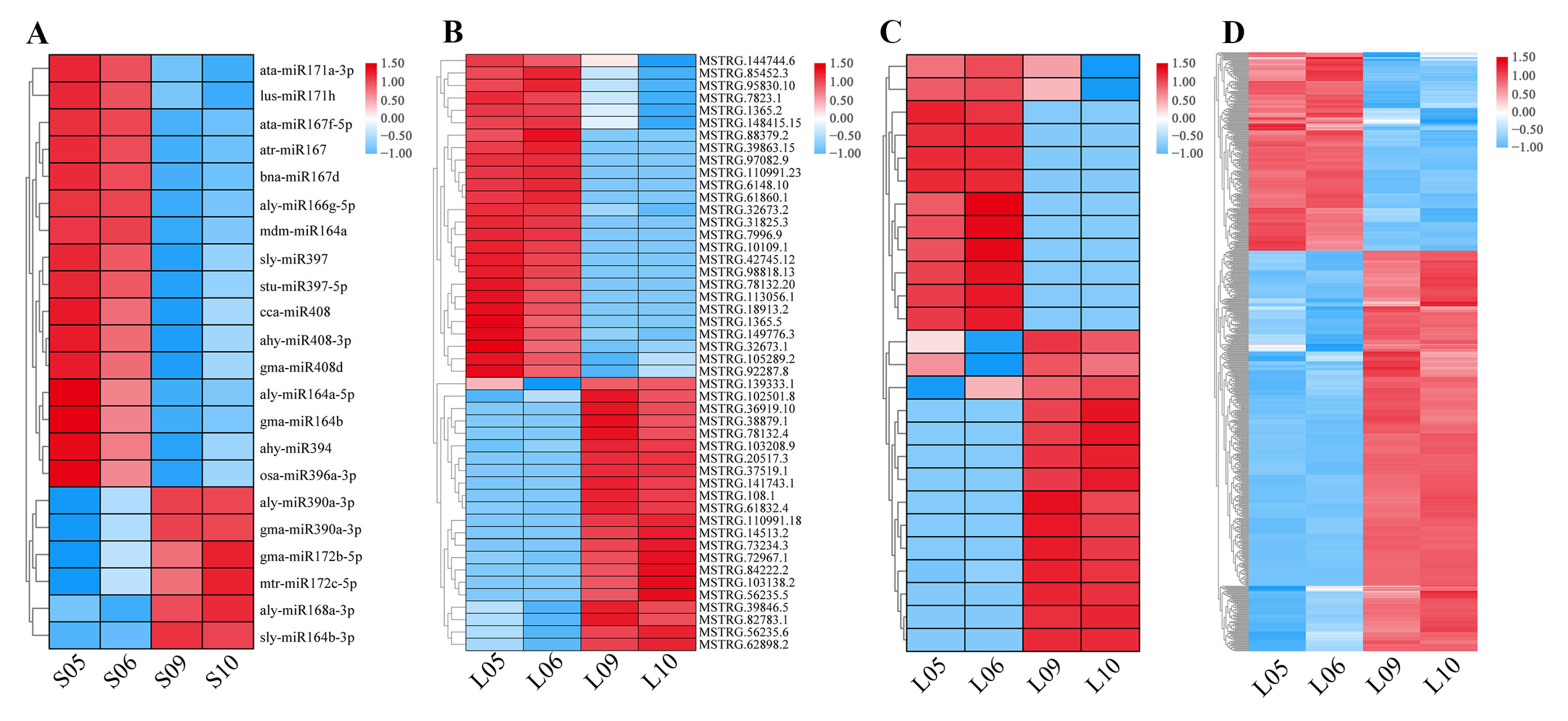Agronomy 13 00321 g001 Agronomy 13 00321 g001