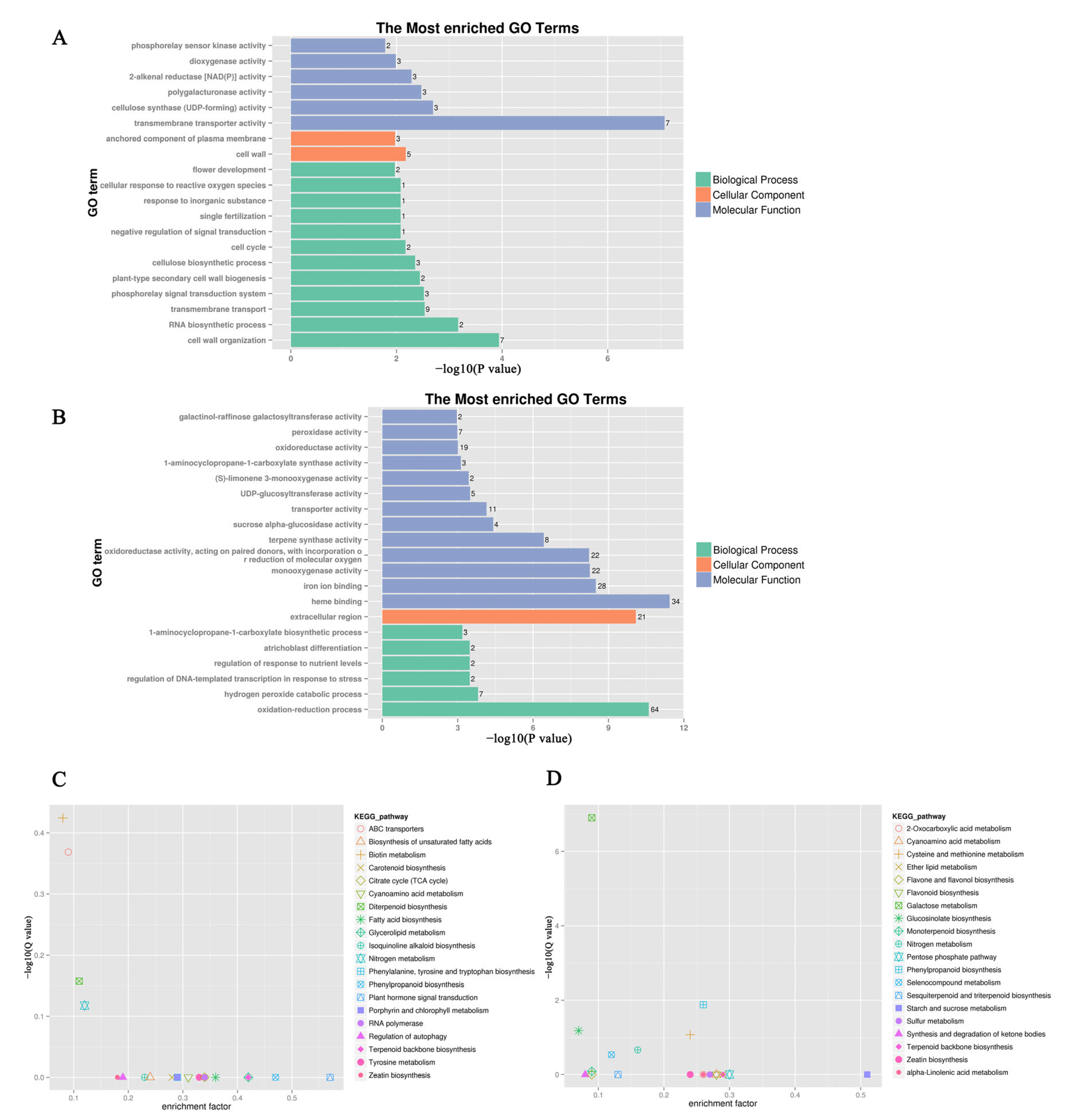 Agronomy 13 00321 g003 Agronomy 13 00321 g003