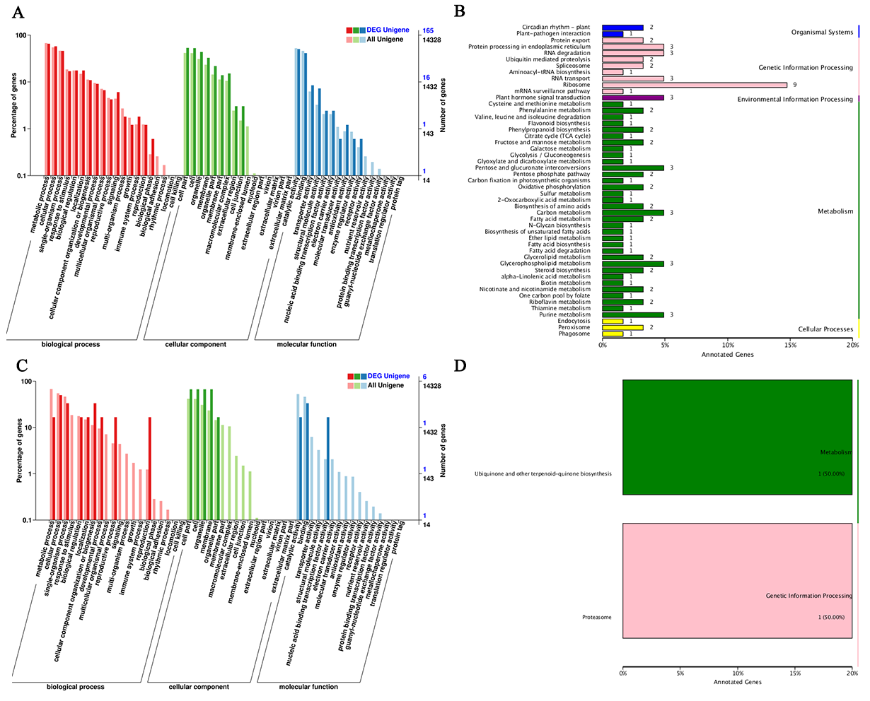 Agronomy 13 00321 g005 Agronomy 13 00321 g005