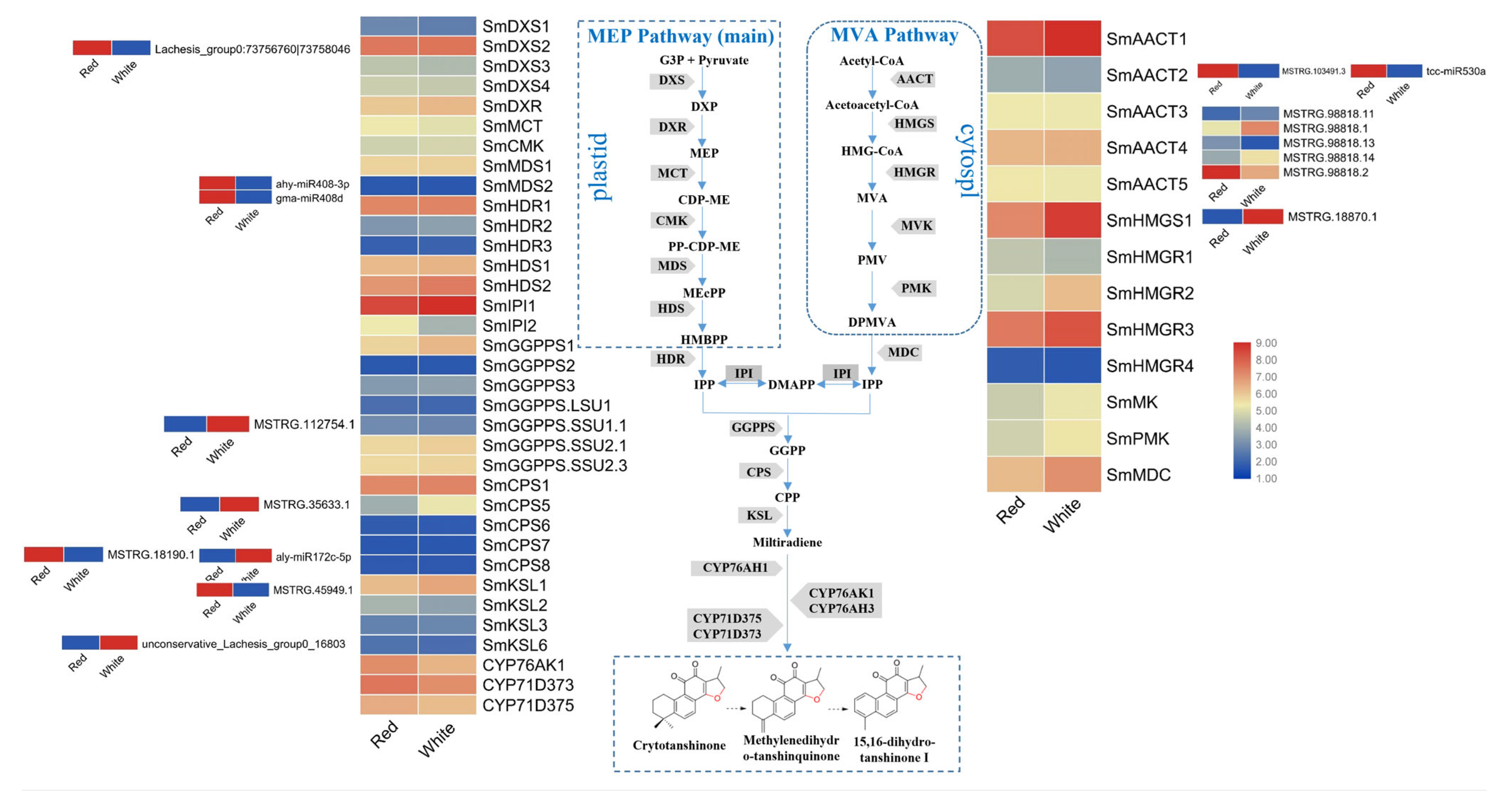 Agronomy 13 00321 g007 Agronomy 13 00321 g007