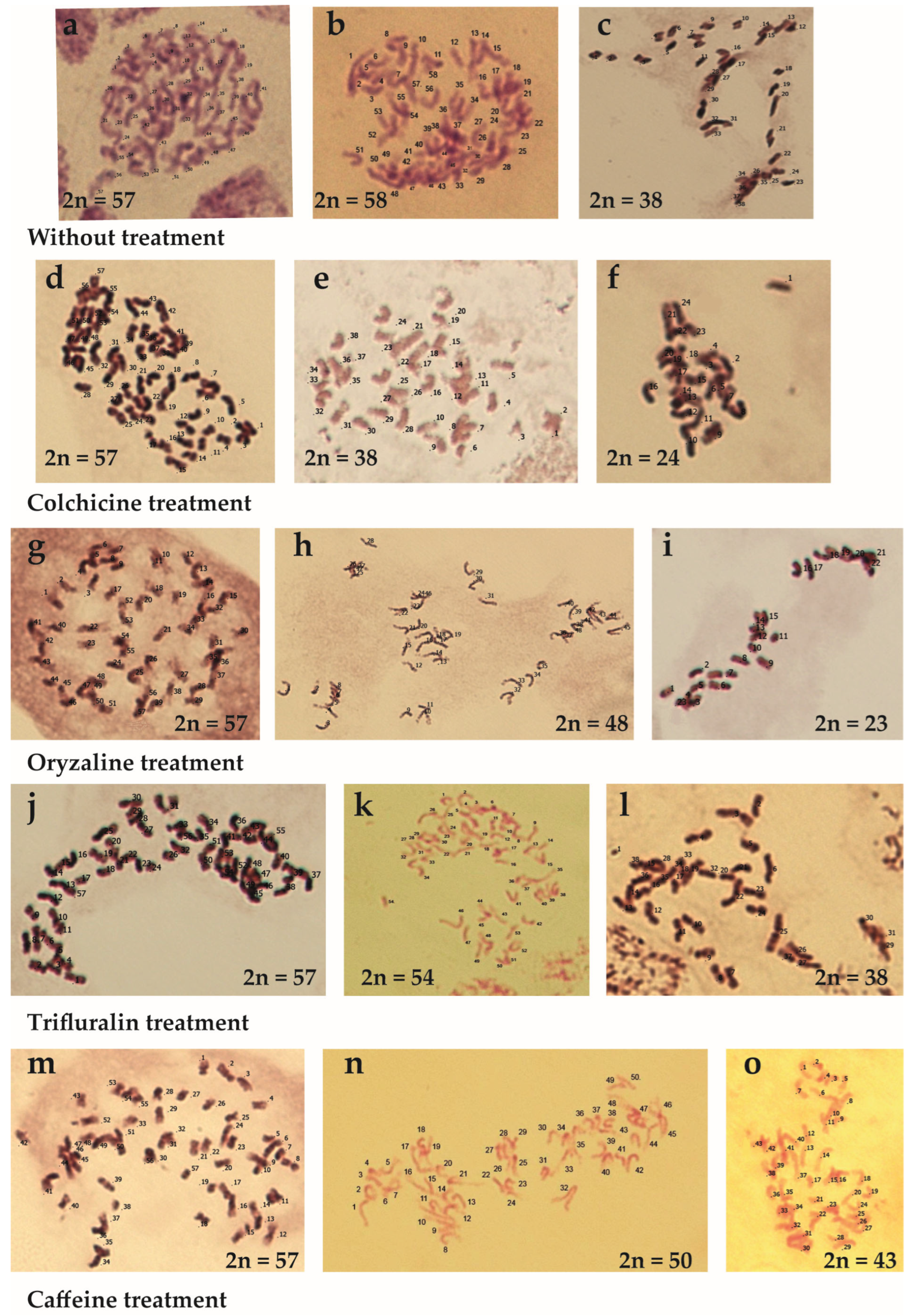 Agronomy 13 00323 g003 Agronomy 13 00323 g003