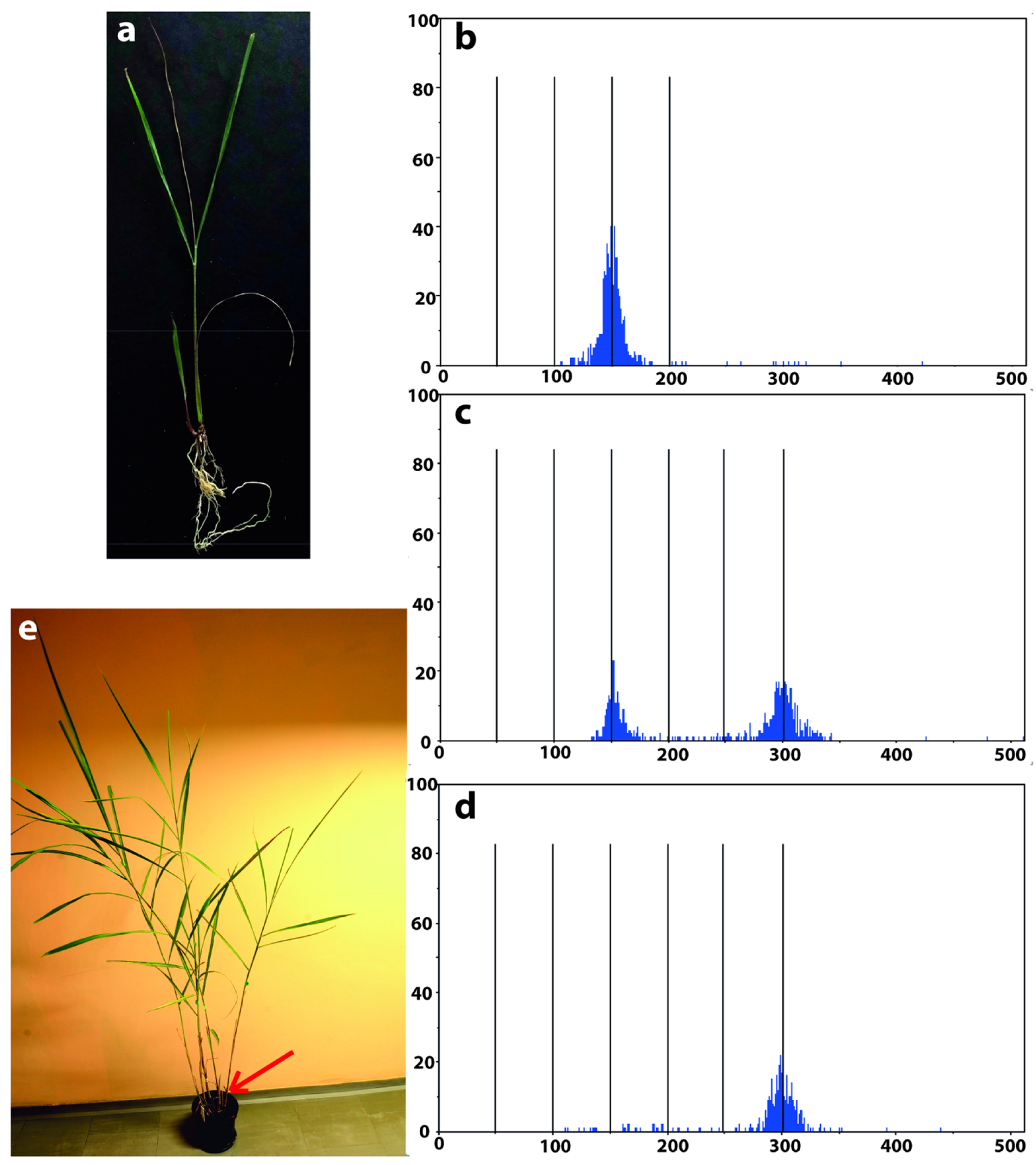 Agronomy 13 00323 g004 Agronomy 13 00323 g004