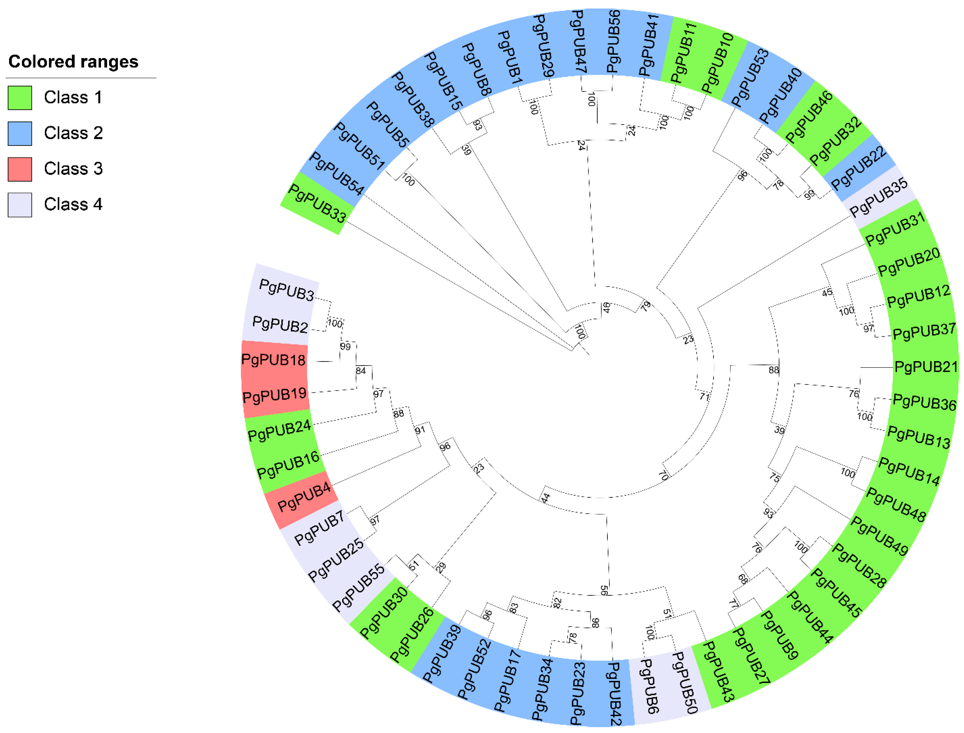 Agronomy 13 00332 g001 Agronomy 13 00332 g001