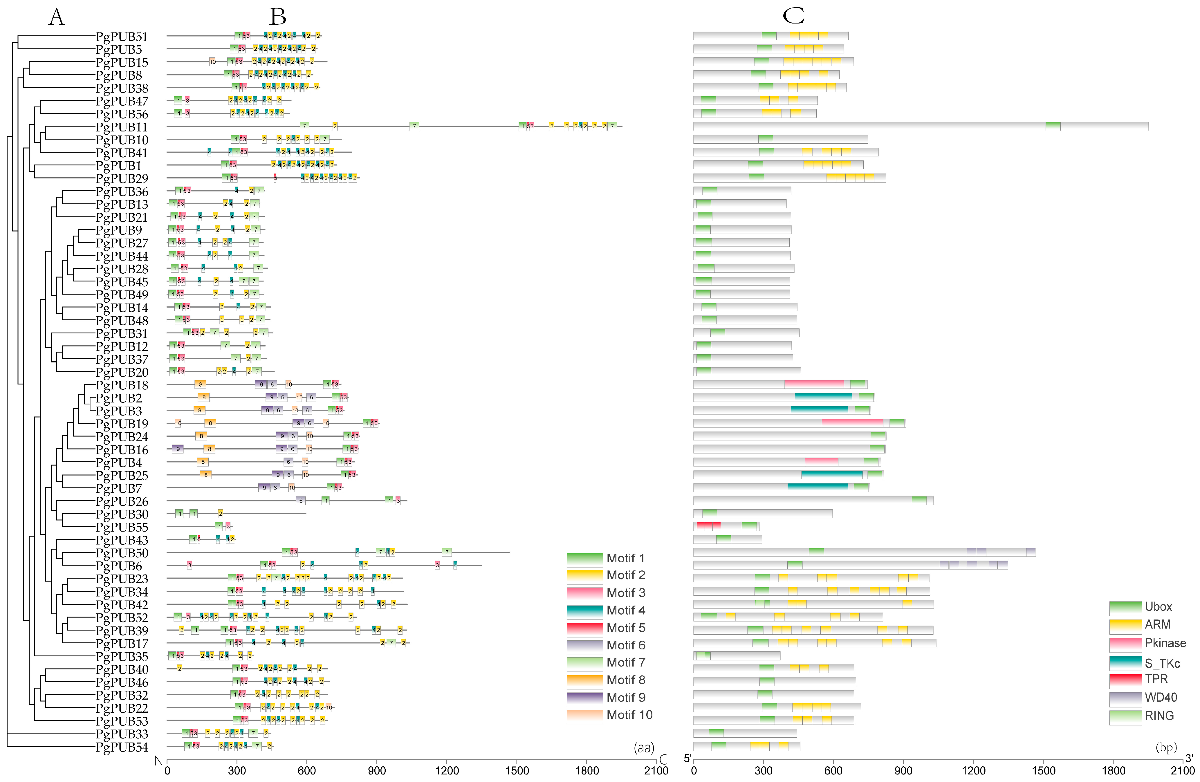 Agronomy 13 00332 g002 Agronomy 13 00332 g002