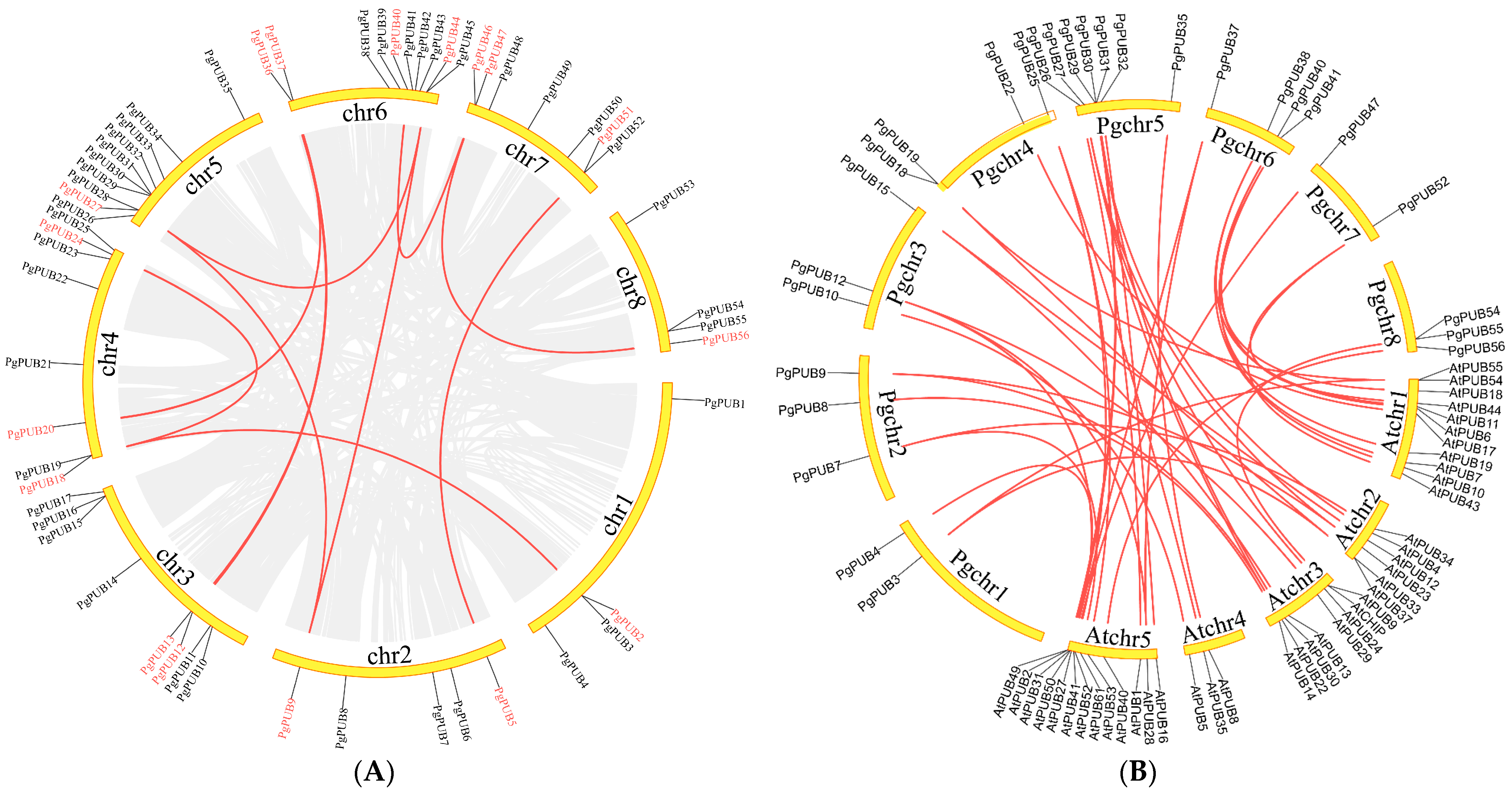 Agronomy 13 00332 g004 Agronomy 13 00332 g004