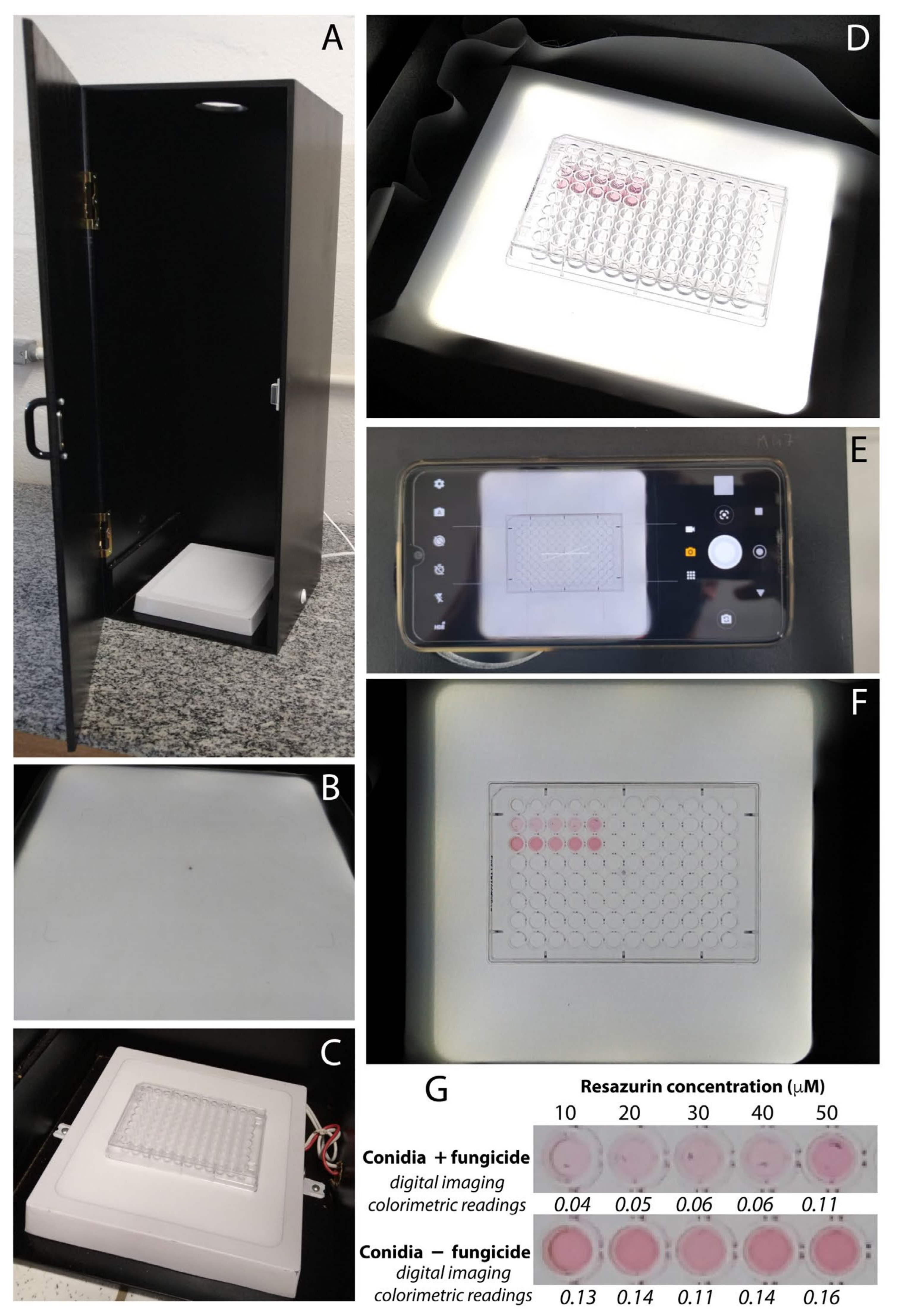 Agronomy 13 00343 g001