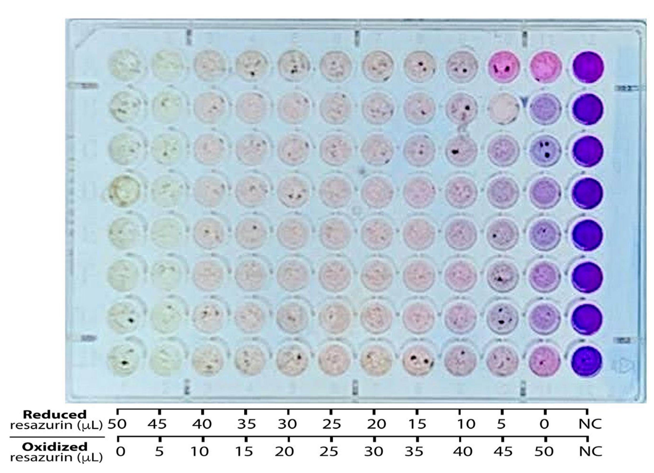 Agronomy 13 00343 g003