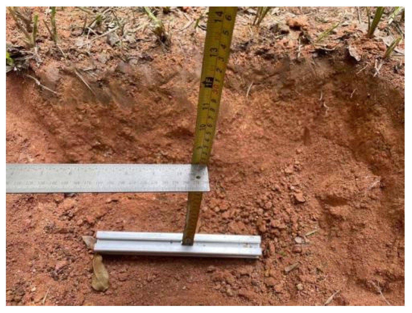 Agronomy 13 00344 g009