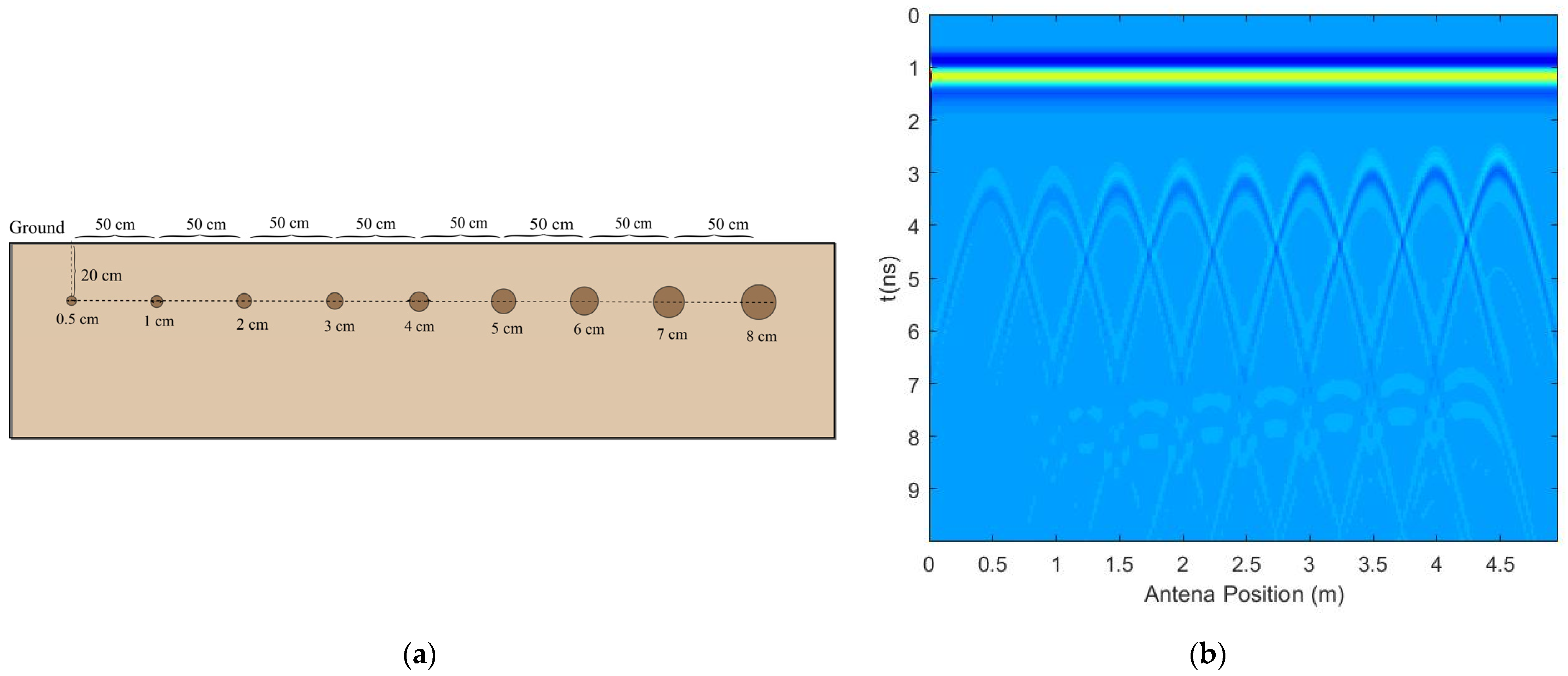 Agronomy Free FullText Root Location and Root Diameter Estimation