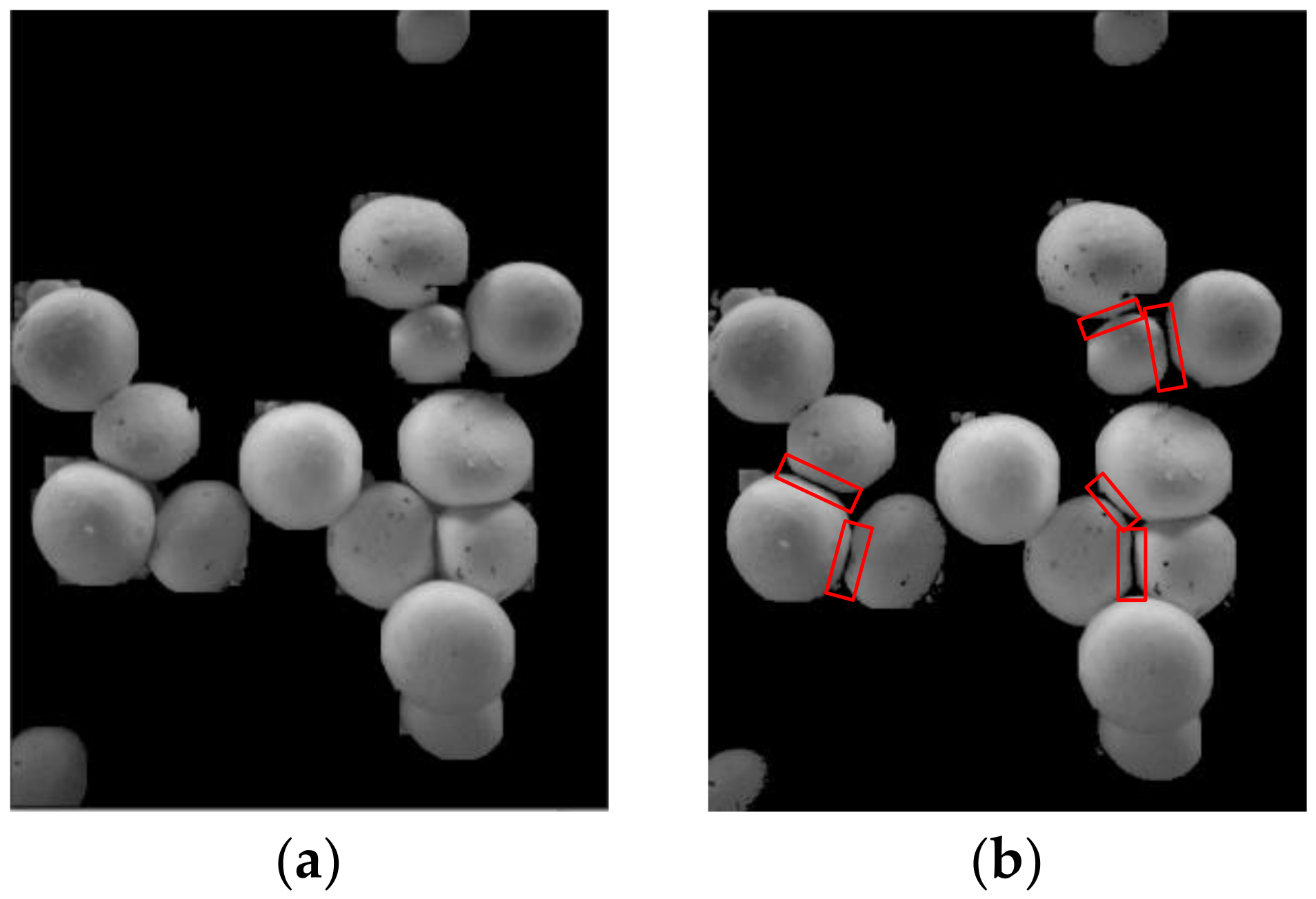 Agronomy 13 00347 g008