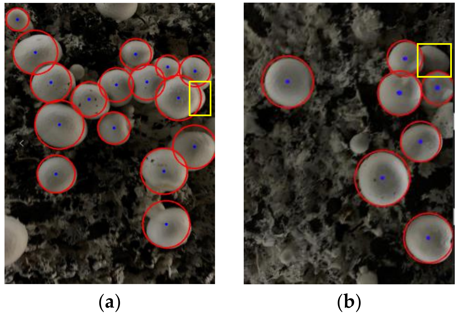 Agronomy 13 00347 g015