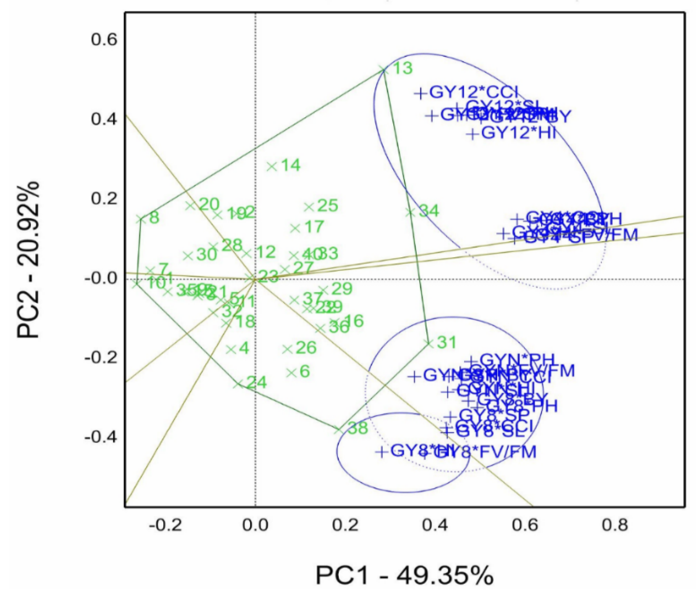 Agronomy 13 00353 g004