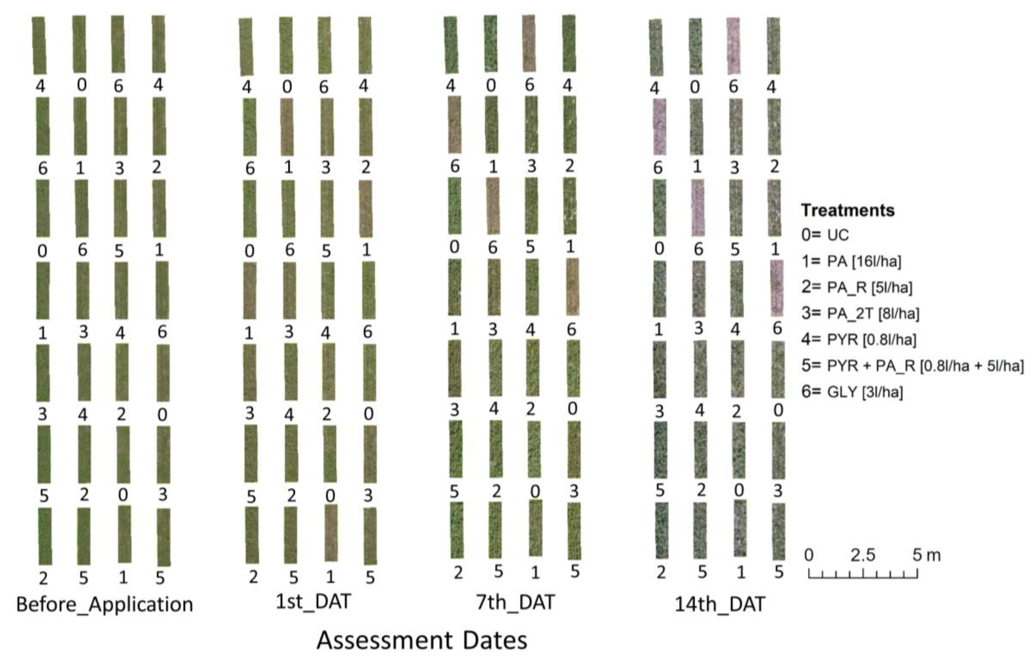 Agronomy 13 00354 g006 Agronomy 13 00354 g006