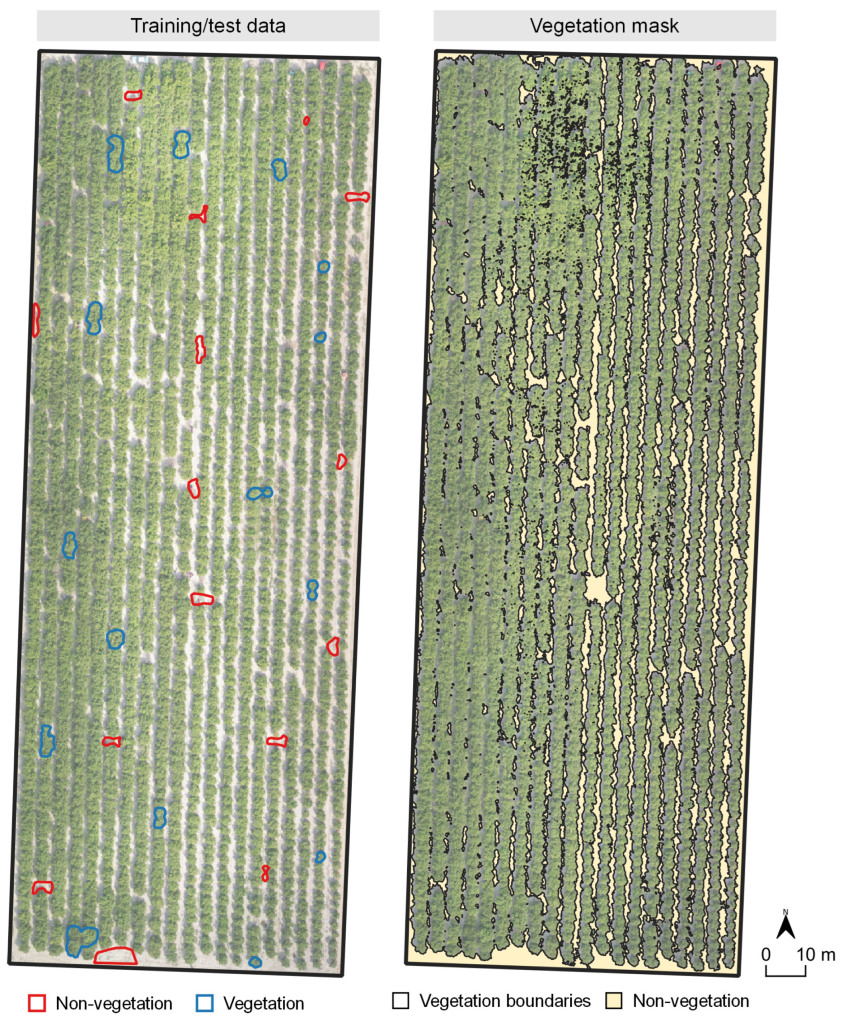 Agronomy 13 00362 g007