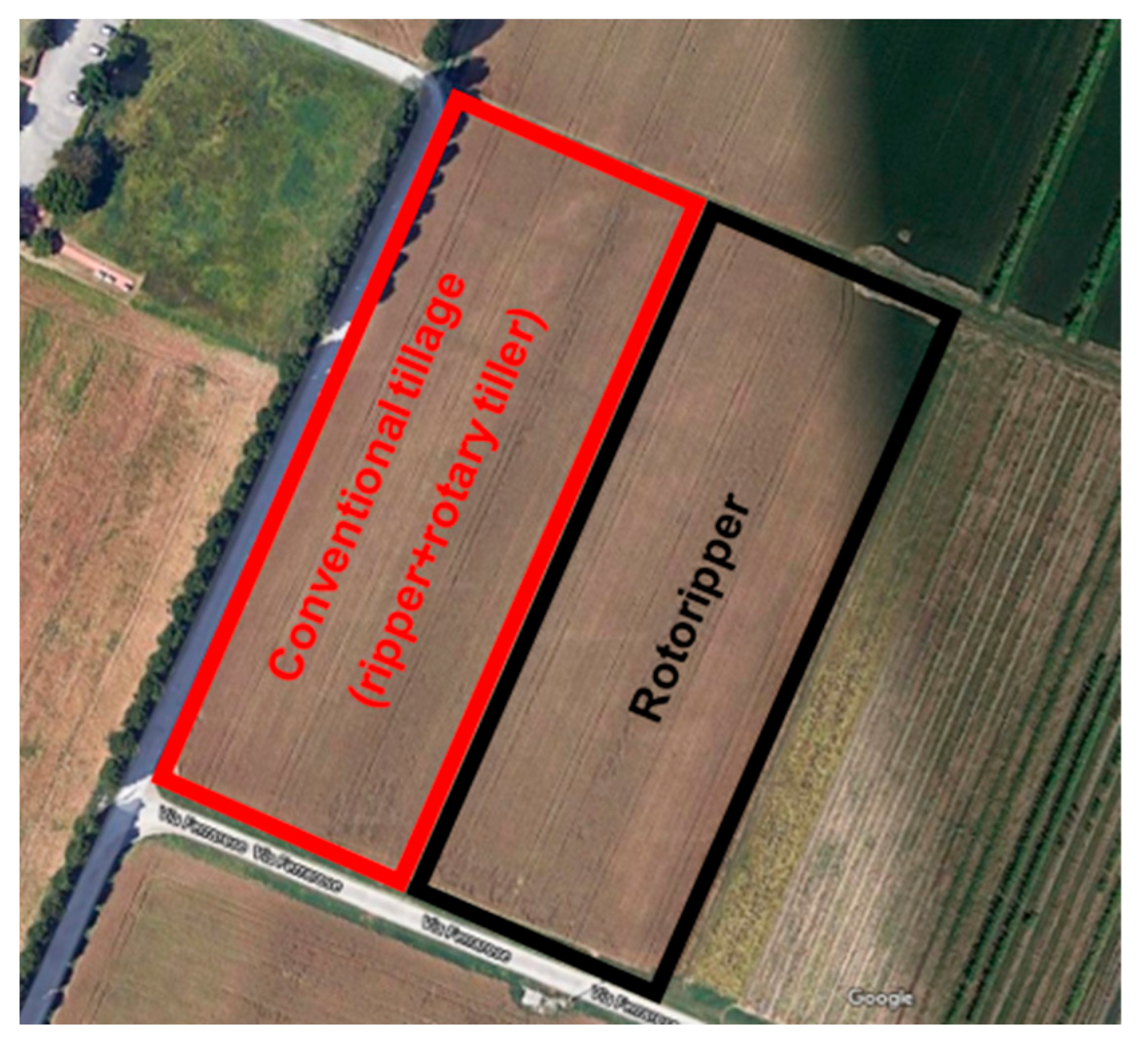 Agronomy 13 00365 g003 Agronomy 13 00365 g003