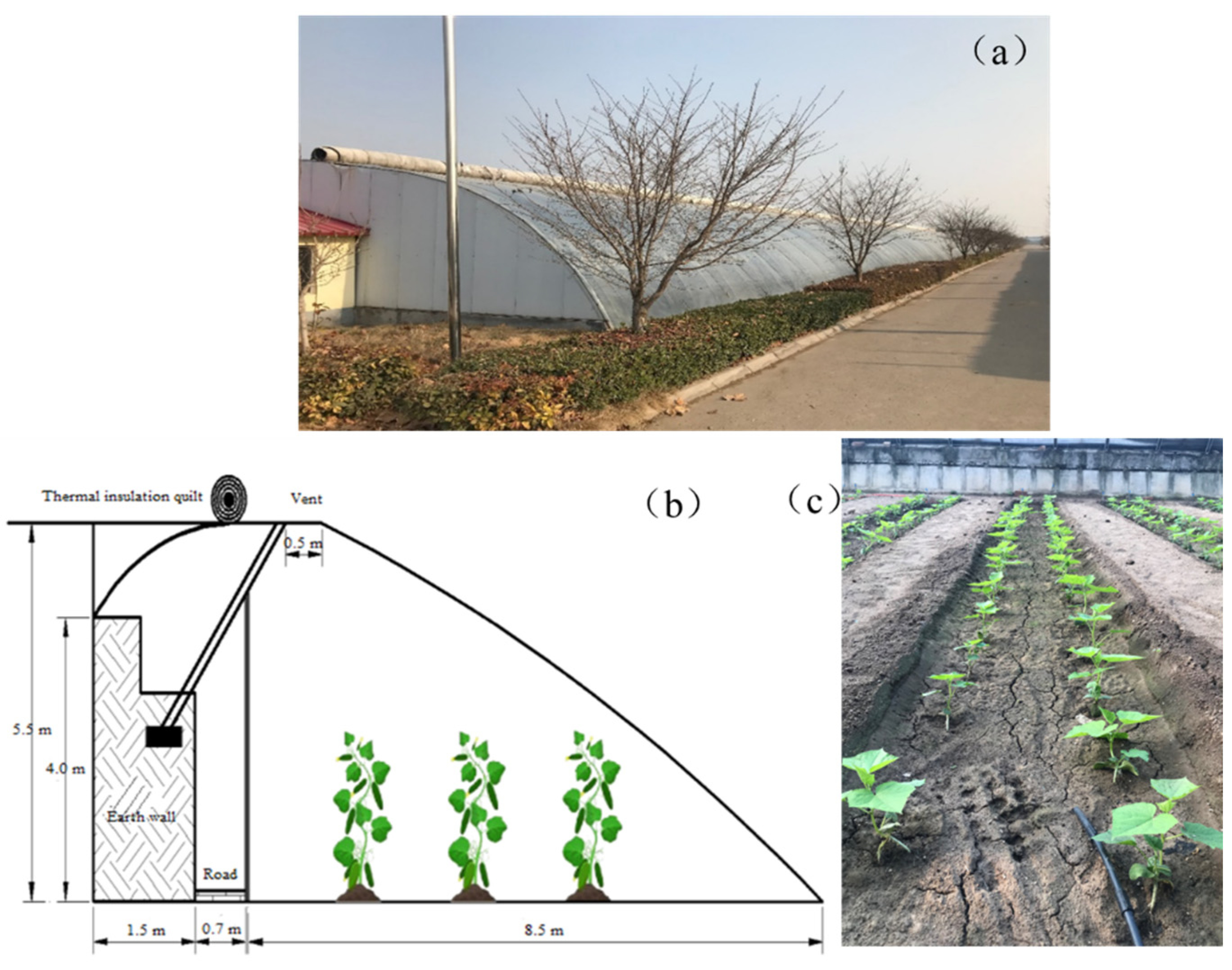 Agronomy 13 00369 g002 Agronomy 13 00369 g002