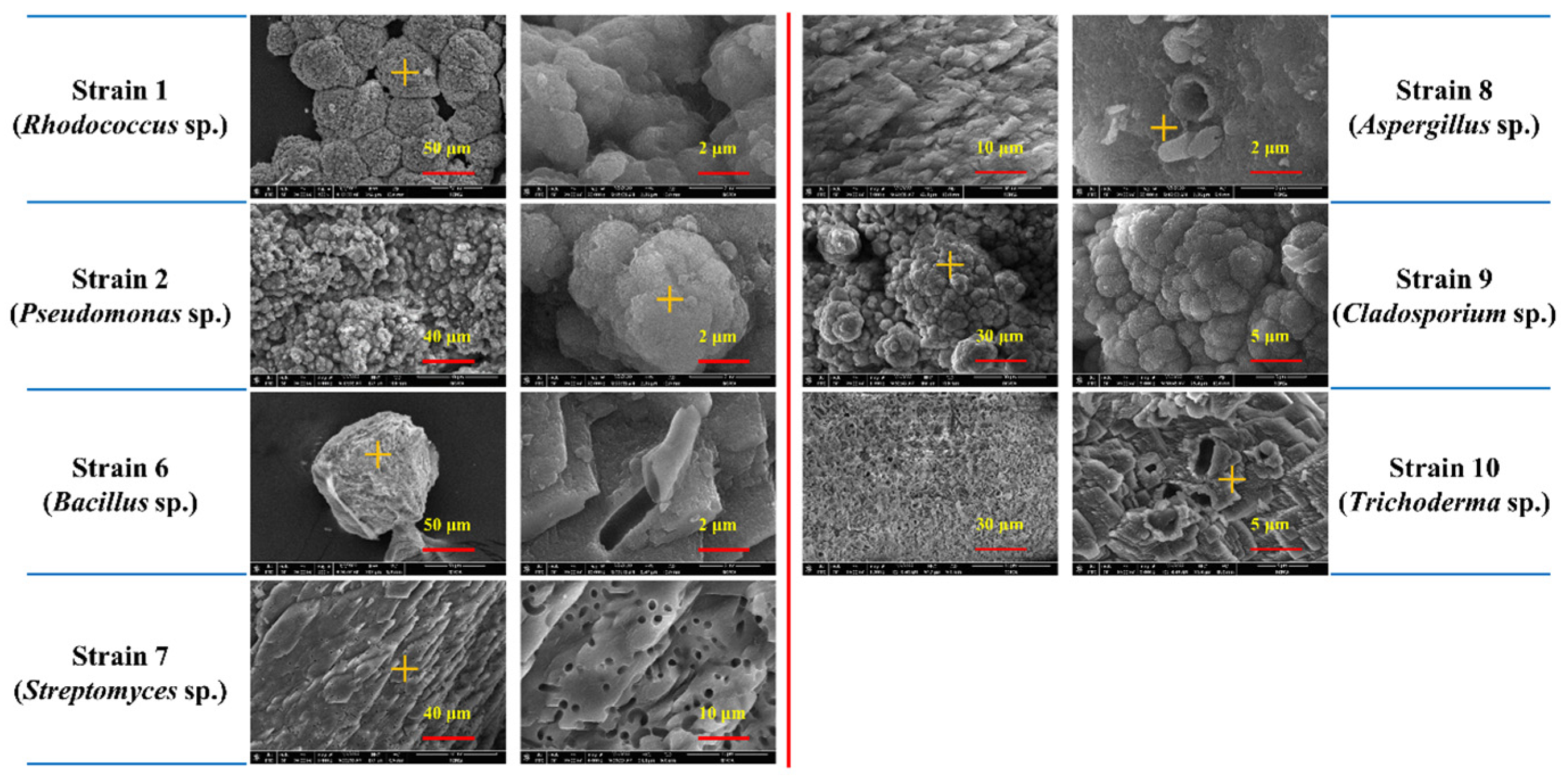 Agronomy 13 00372 g005
