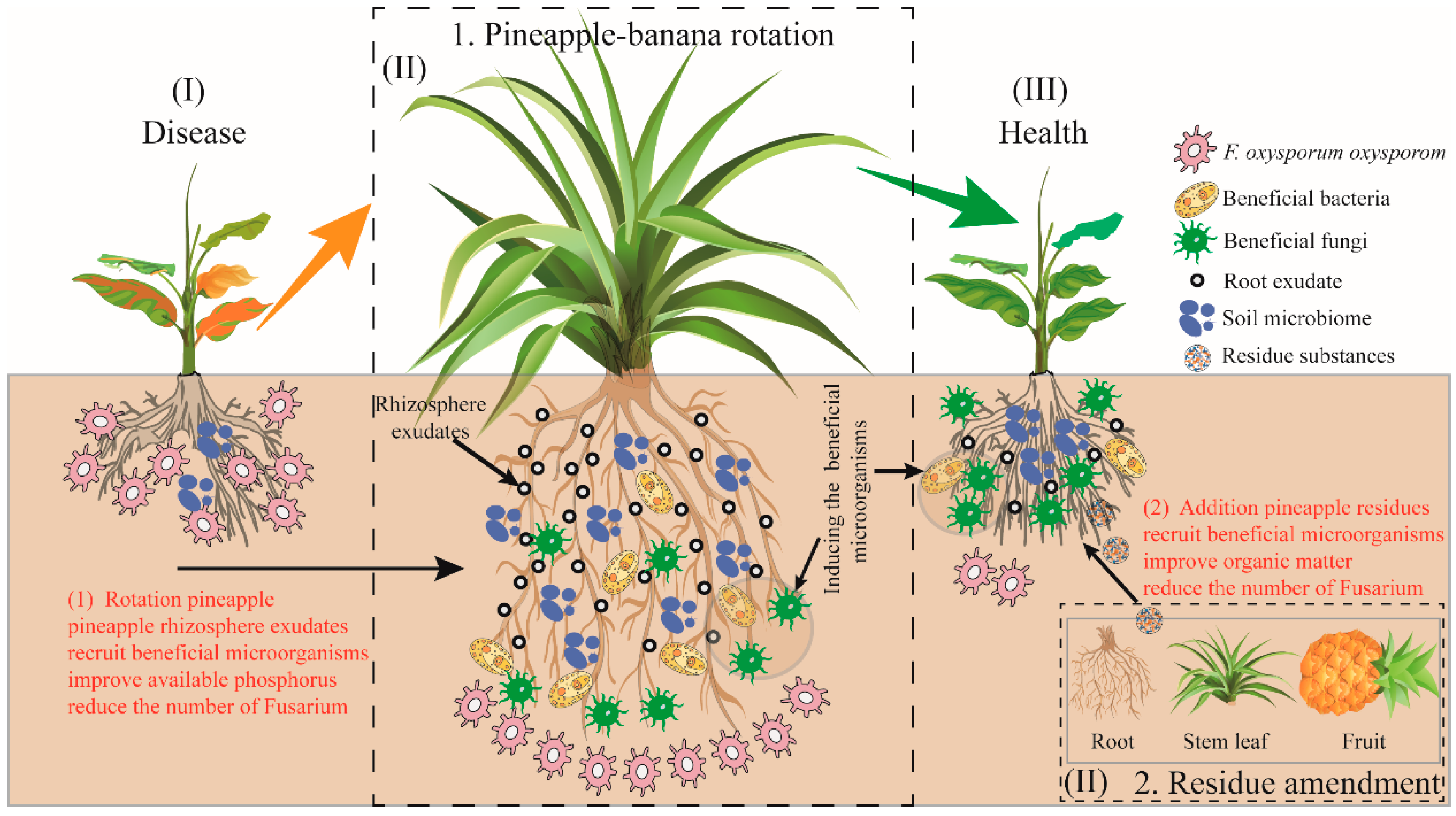 Agronomy 13 00377 g007