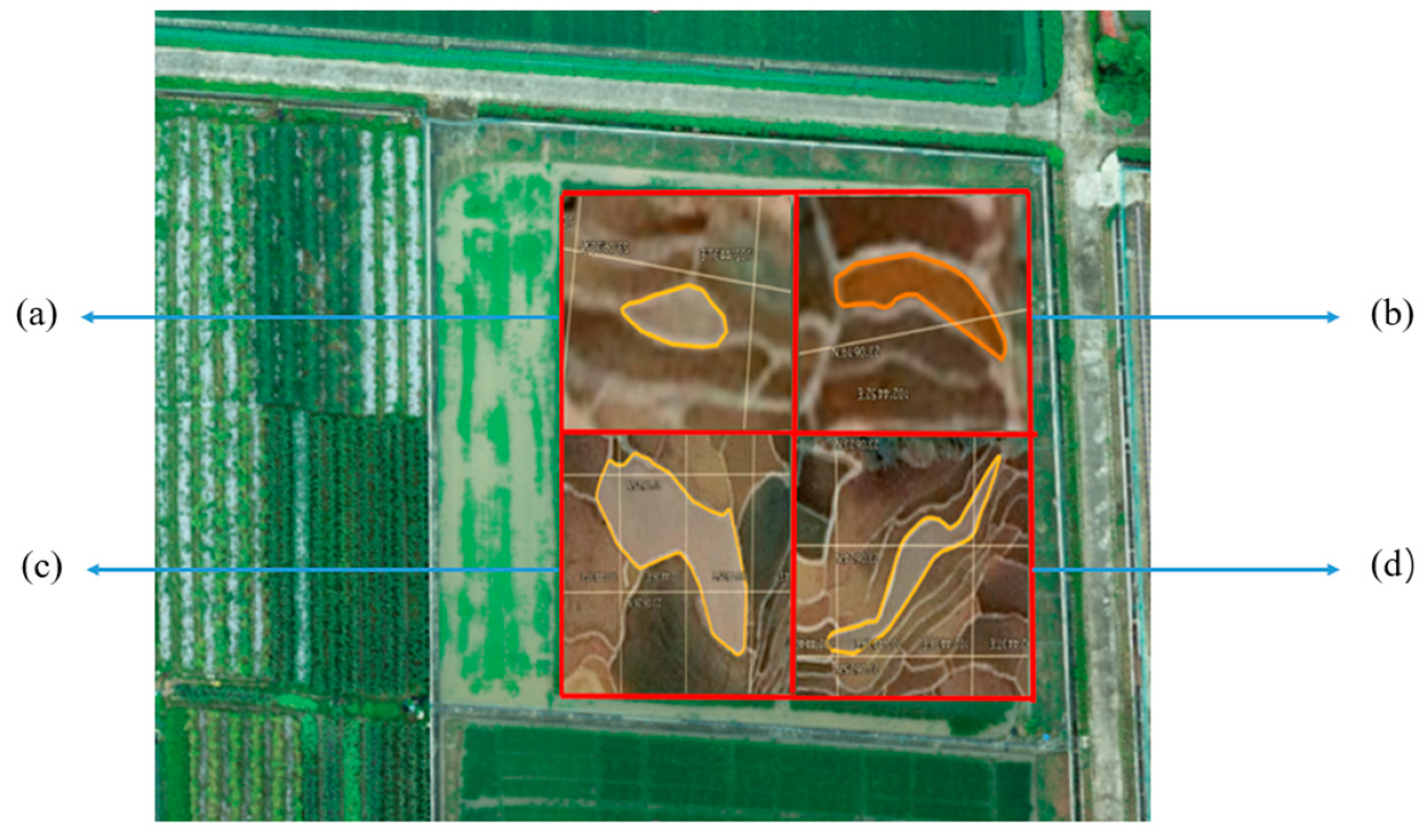 Agronomy 13 00380 g010