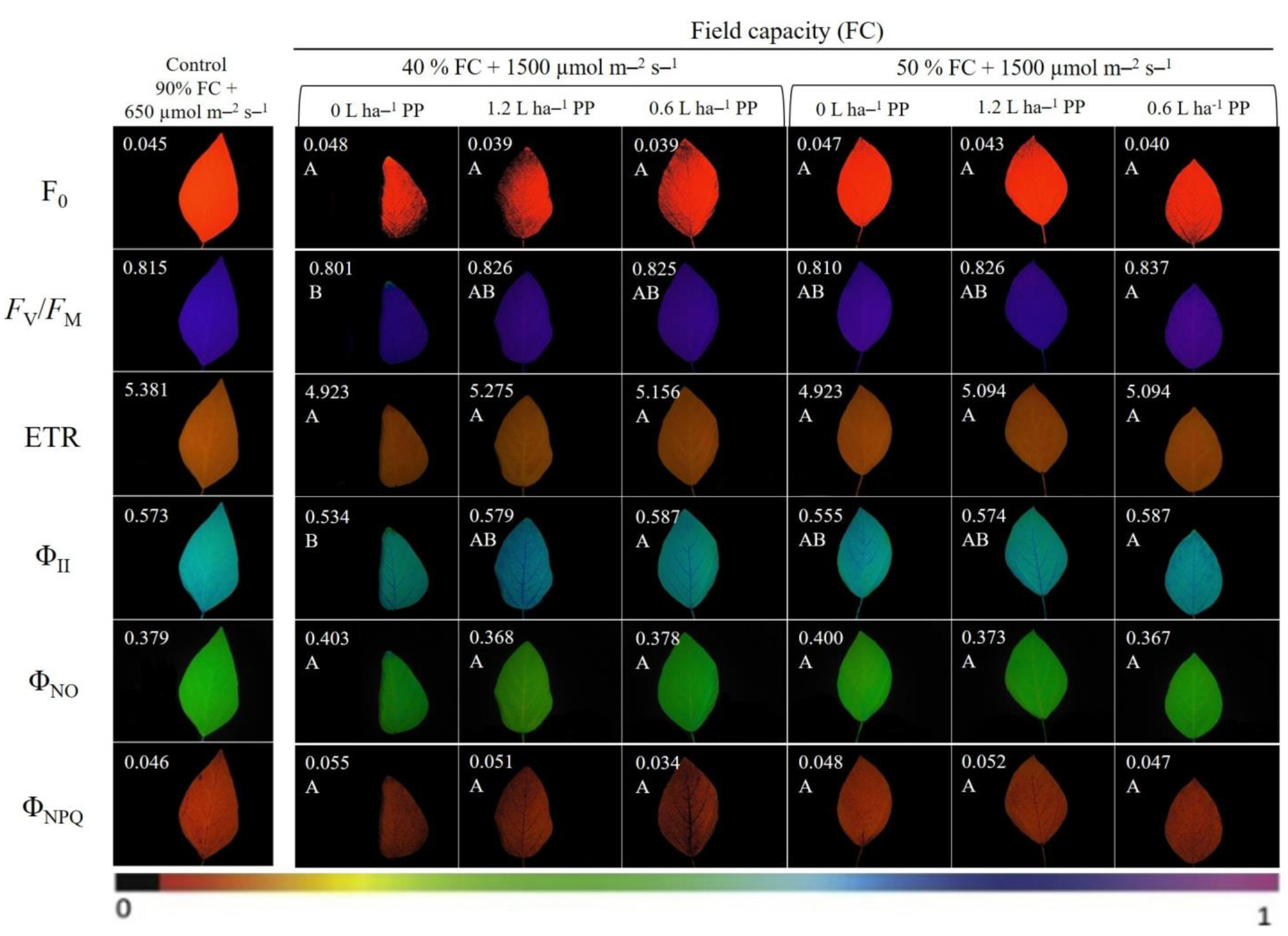 Agronomy 13 00382 g004 Agronomy 13 00382 g004
