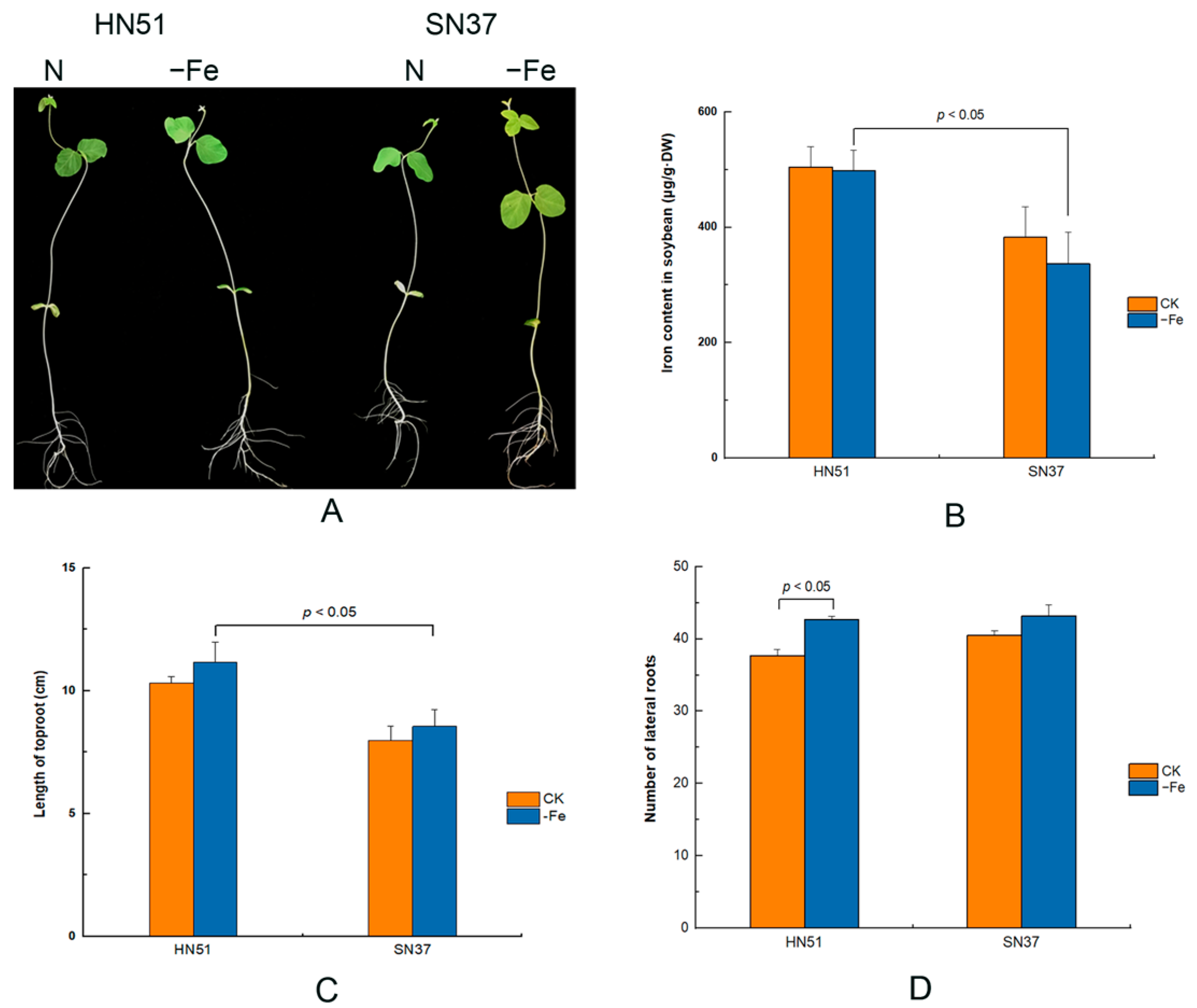 Agronomy 13 00384 g001 Agronomy 13 00384 g001