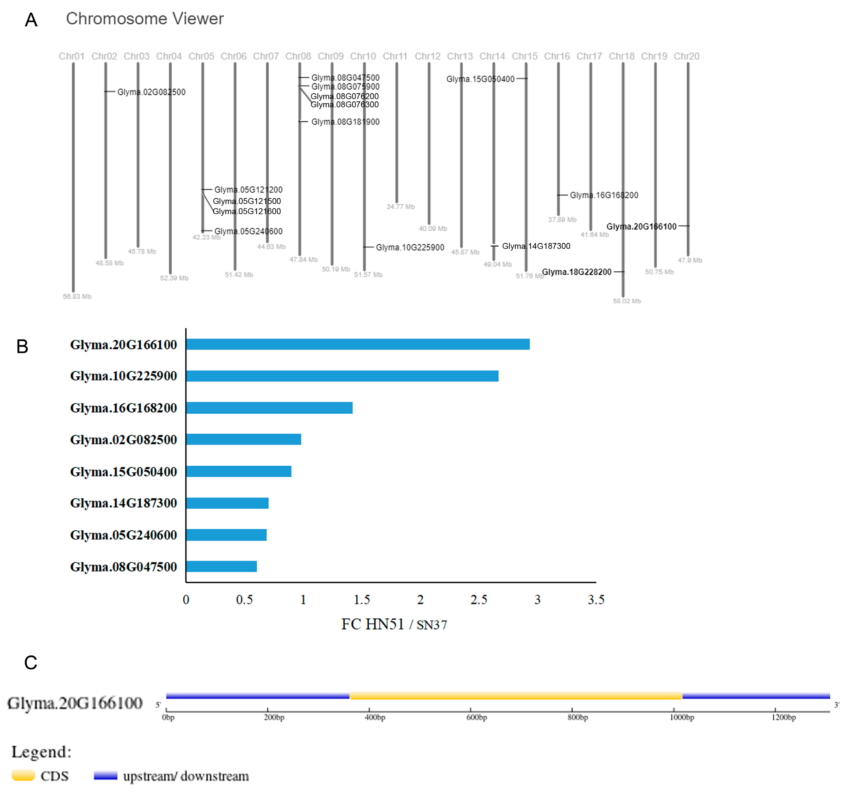 Agronomy 13 00384 g002 Agronomy 13 00384 g002