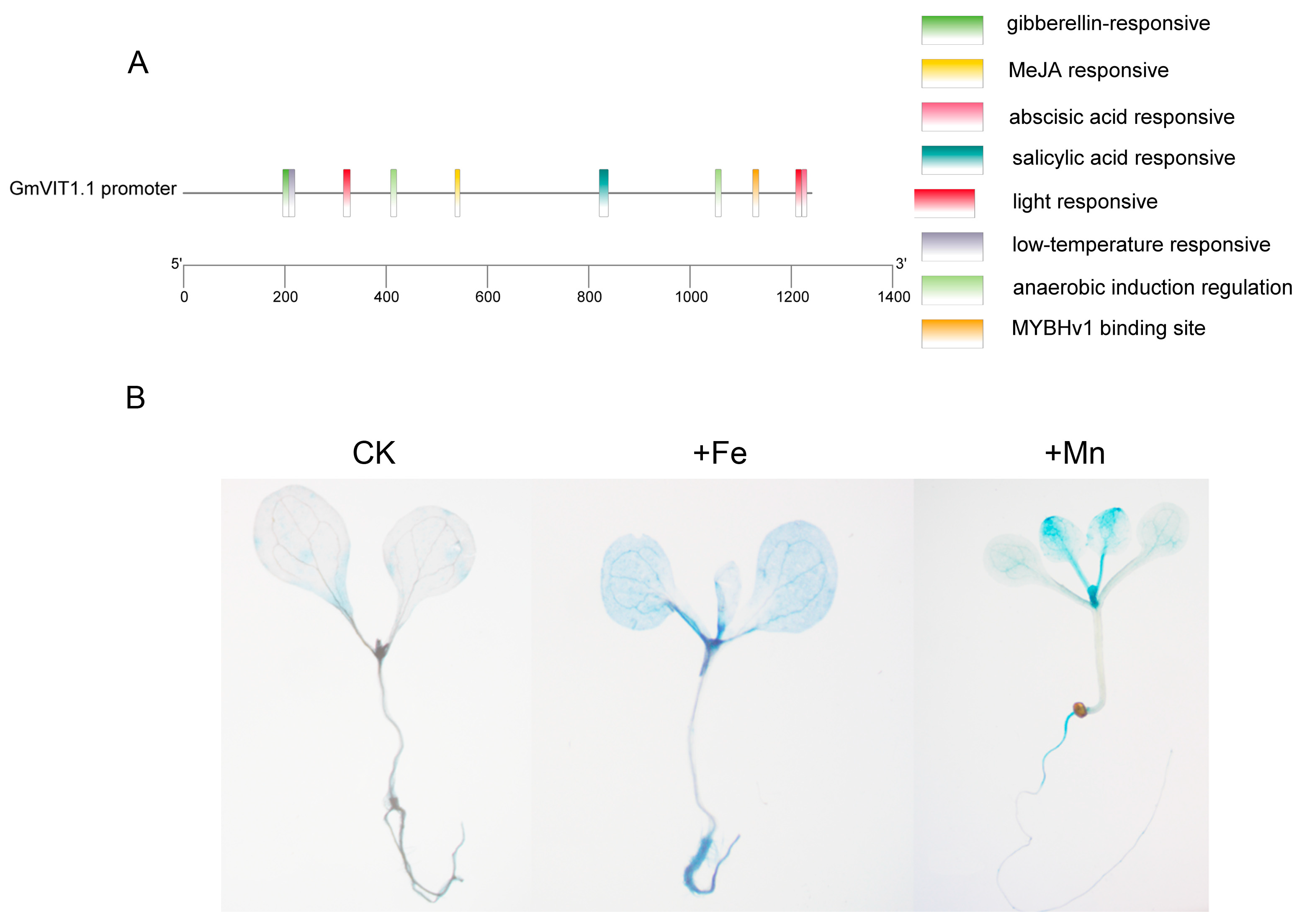 Agronomy 13 00384 g007 Agronomy 13 00384 g007