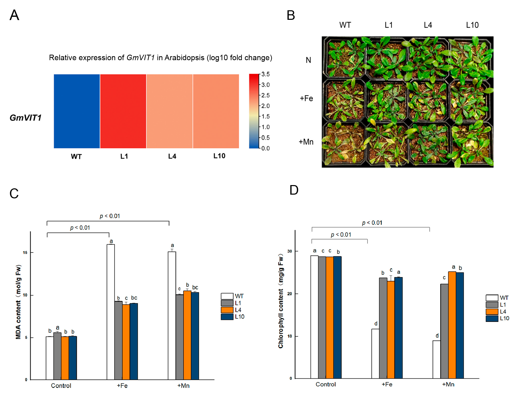 Agronomy 13 00384 g008 Agronomy 13 00384 g008