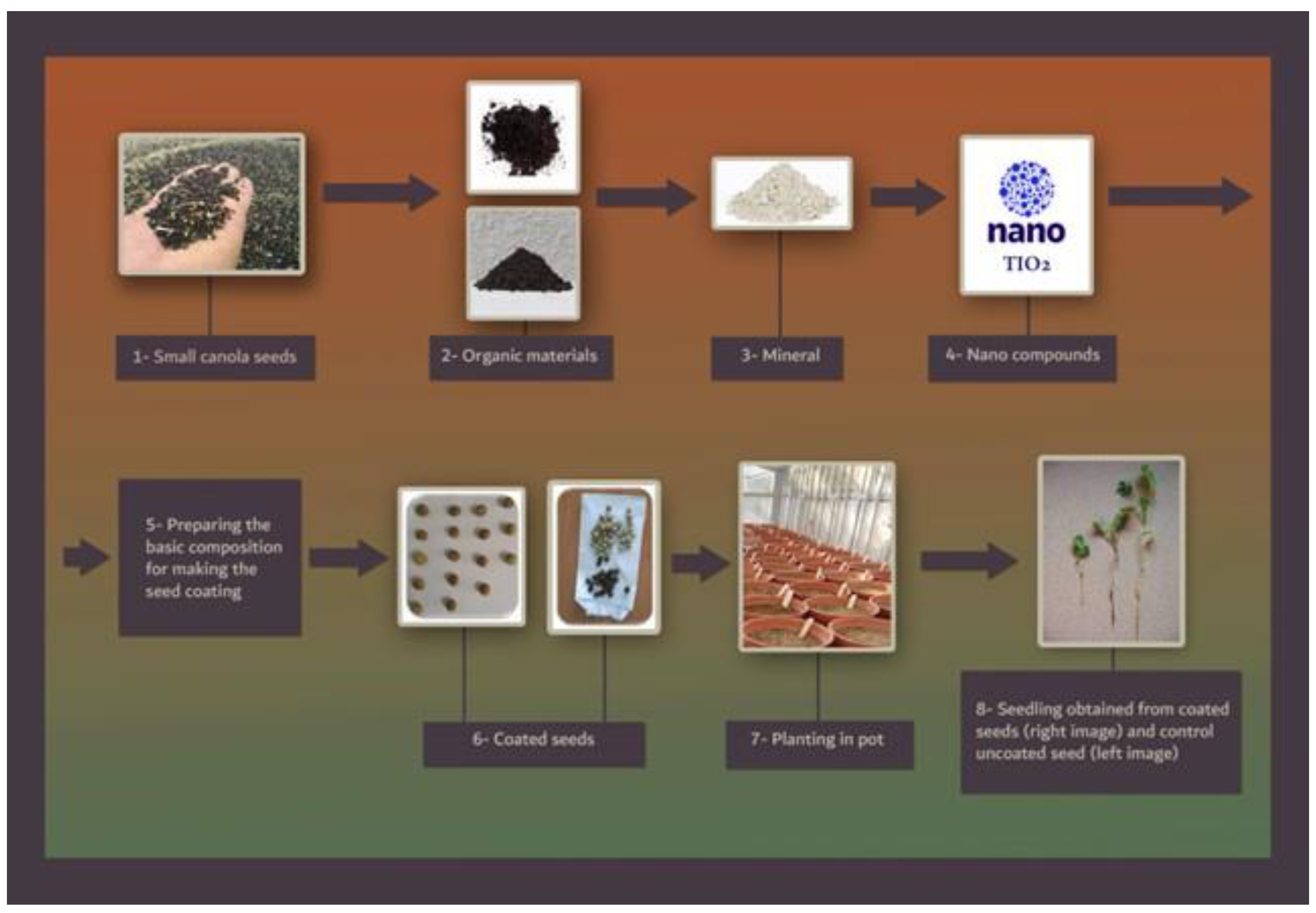 Agronomy 13 00390 g001