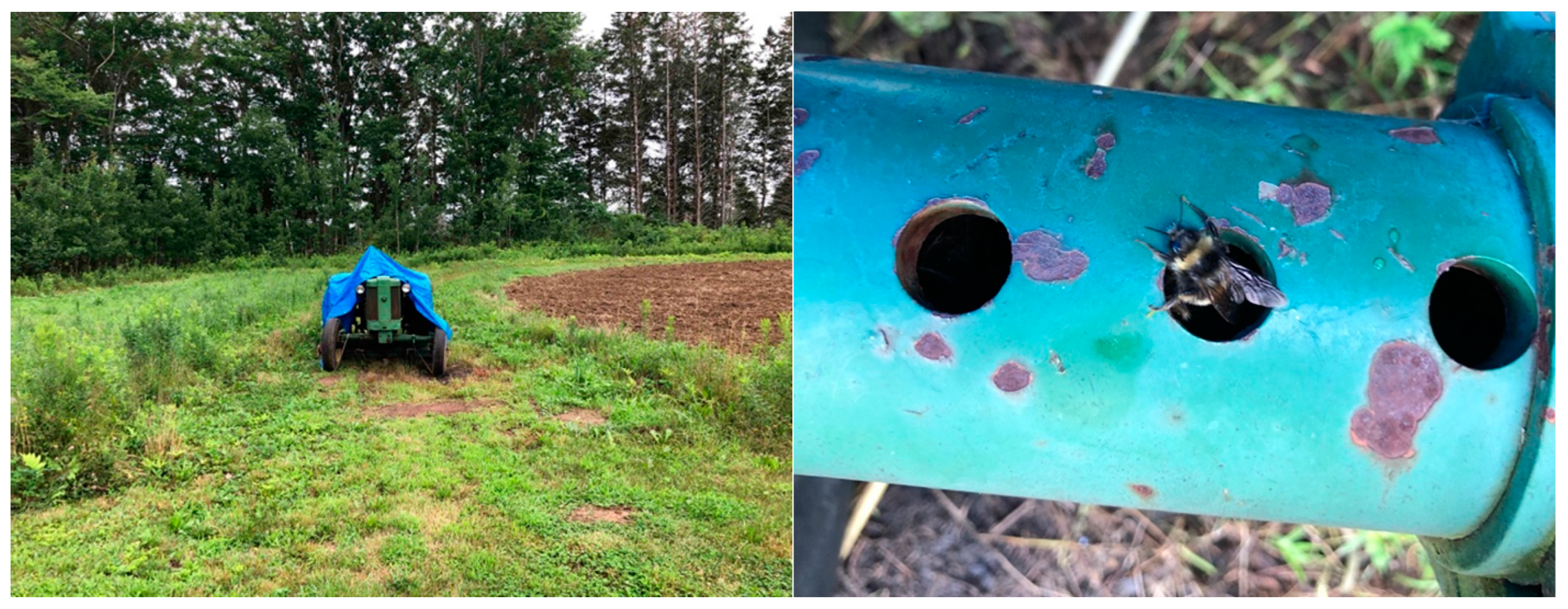 Agronomy 13 00393 g001