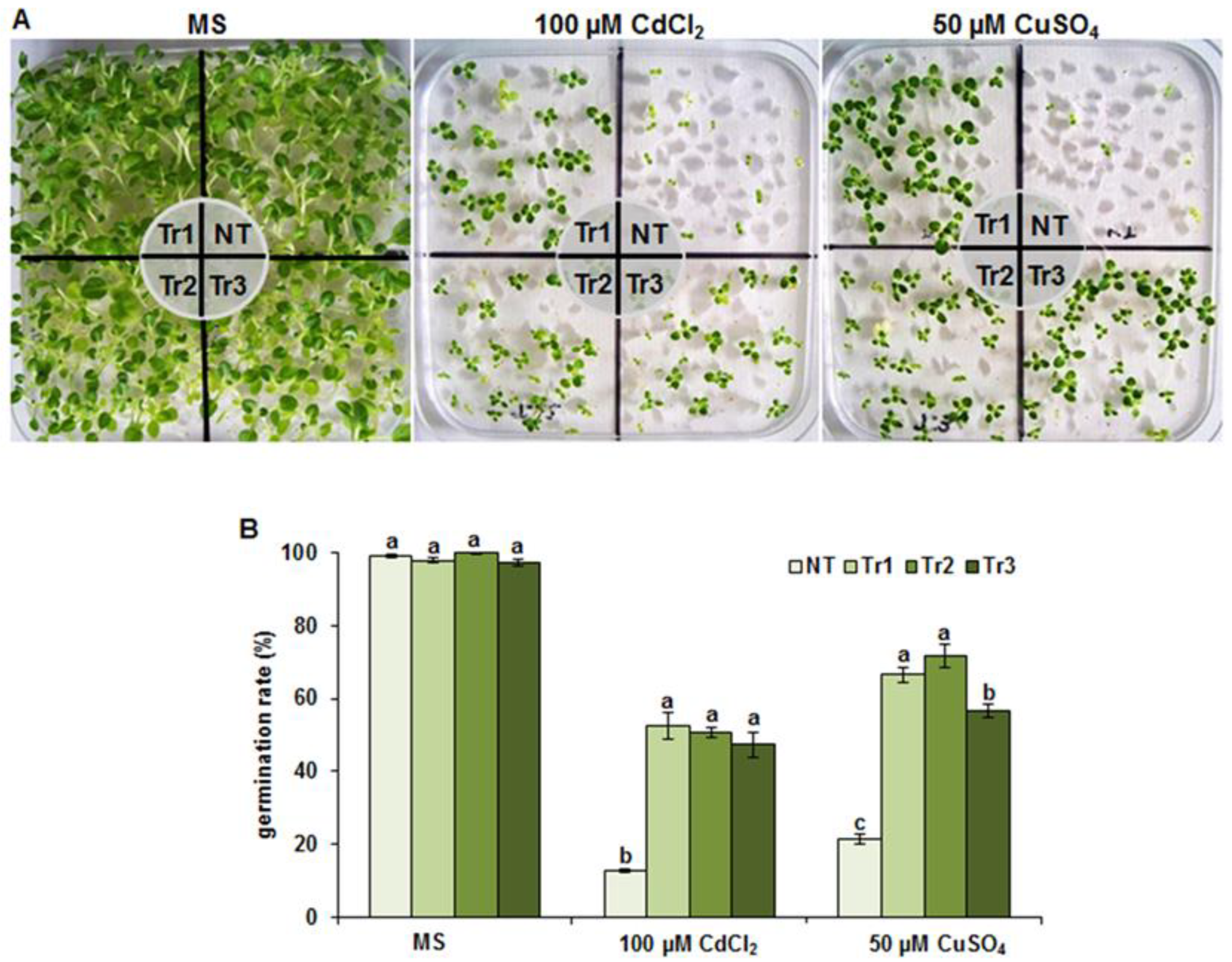 Agronomy 13 00399 g003 Agronomy 13 00399 g003
