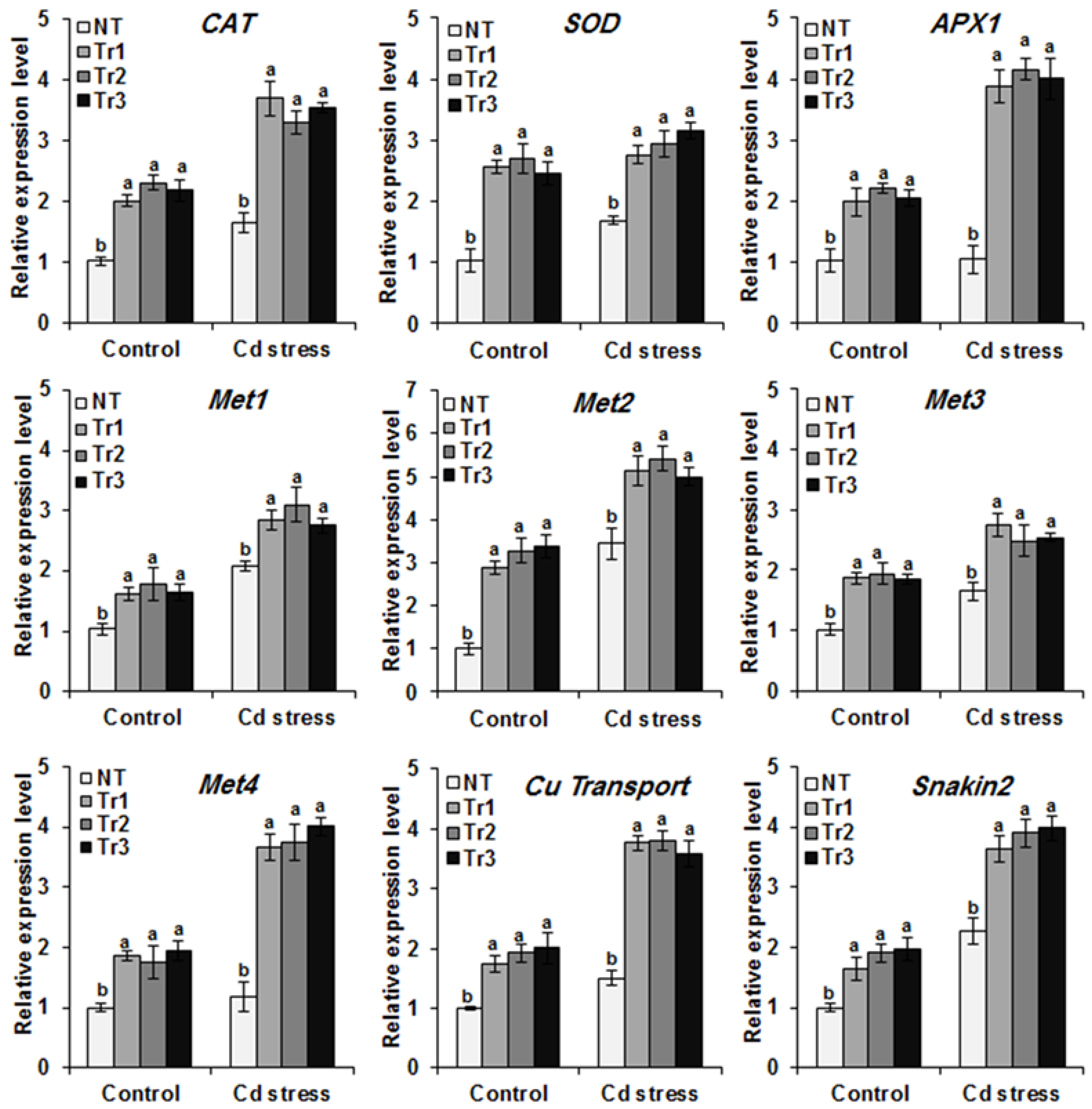 Agronomy 13 00399 g007 Agronomy 13 00399 g007