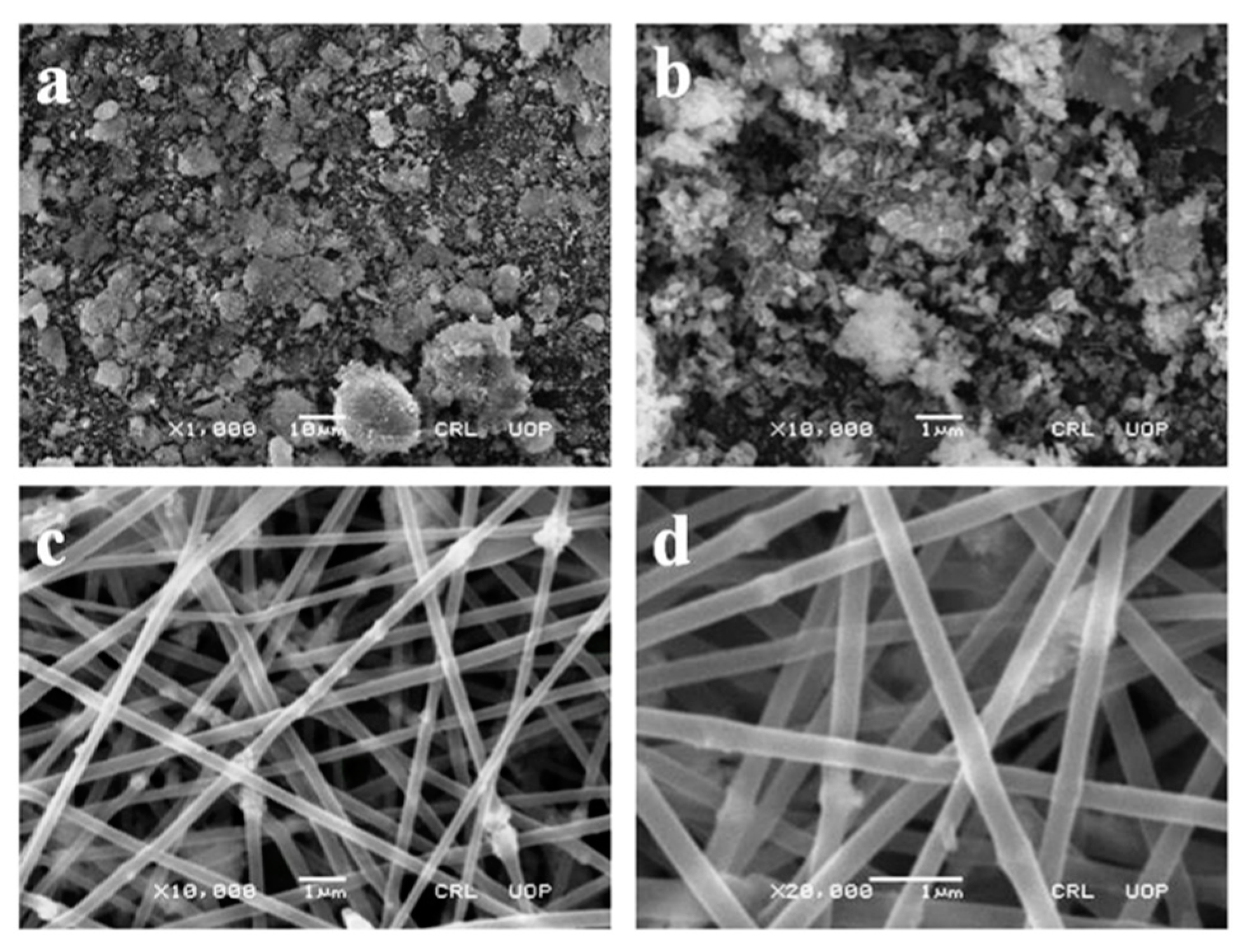 Agronomy 13 00400 g002 Agronomy 13 00400 g002